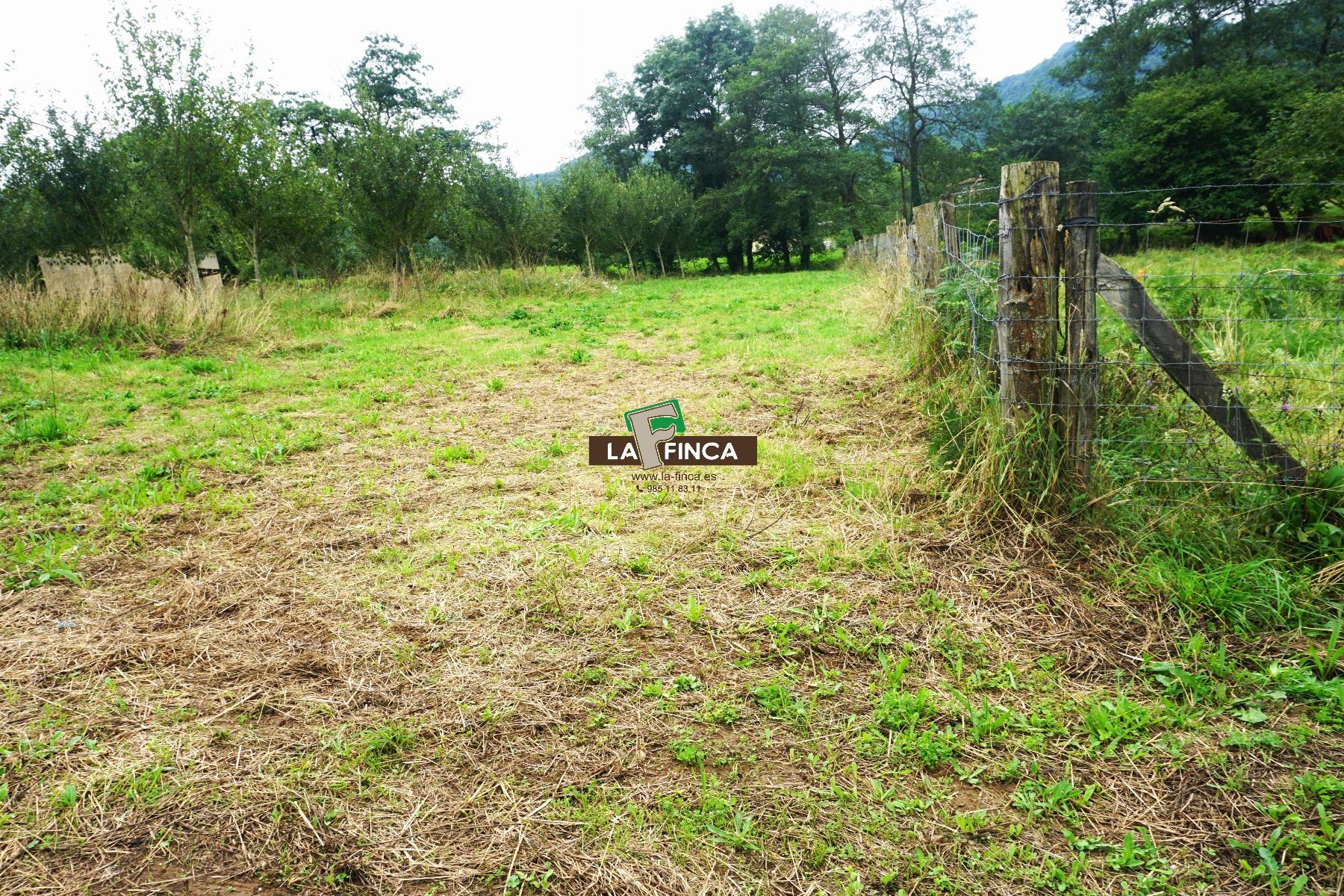 Venta de terreno en Grado