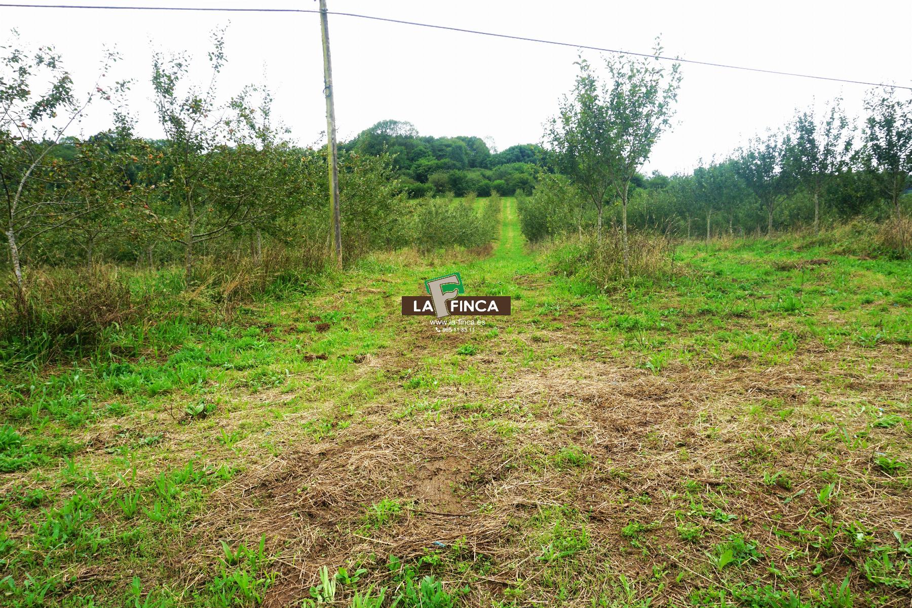 Venta de terreno en Grado