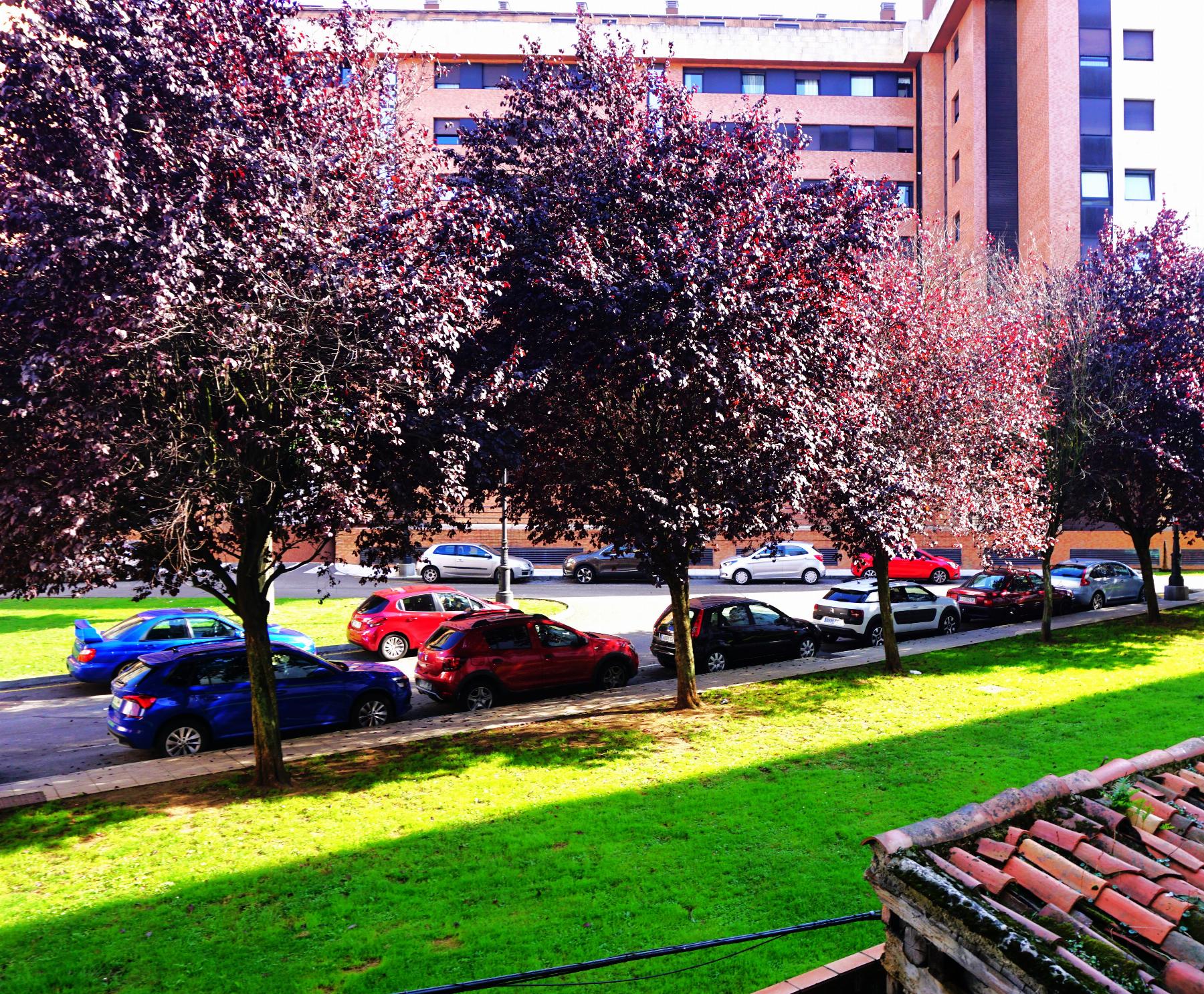 For sale of office in Oviedo