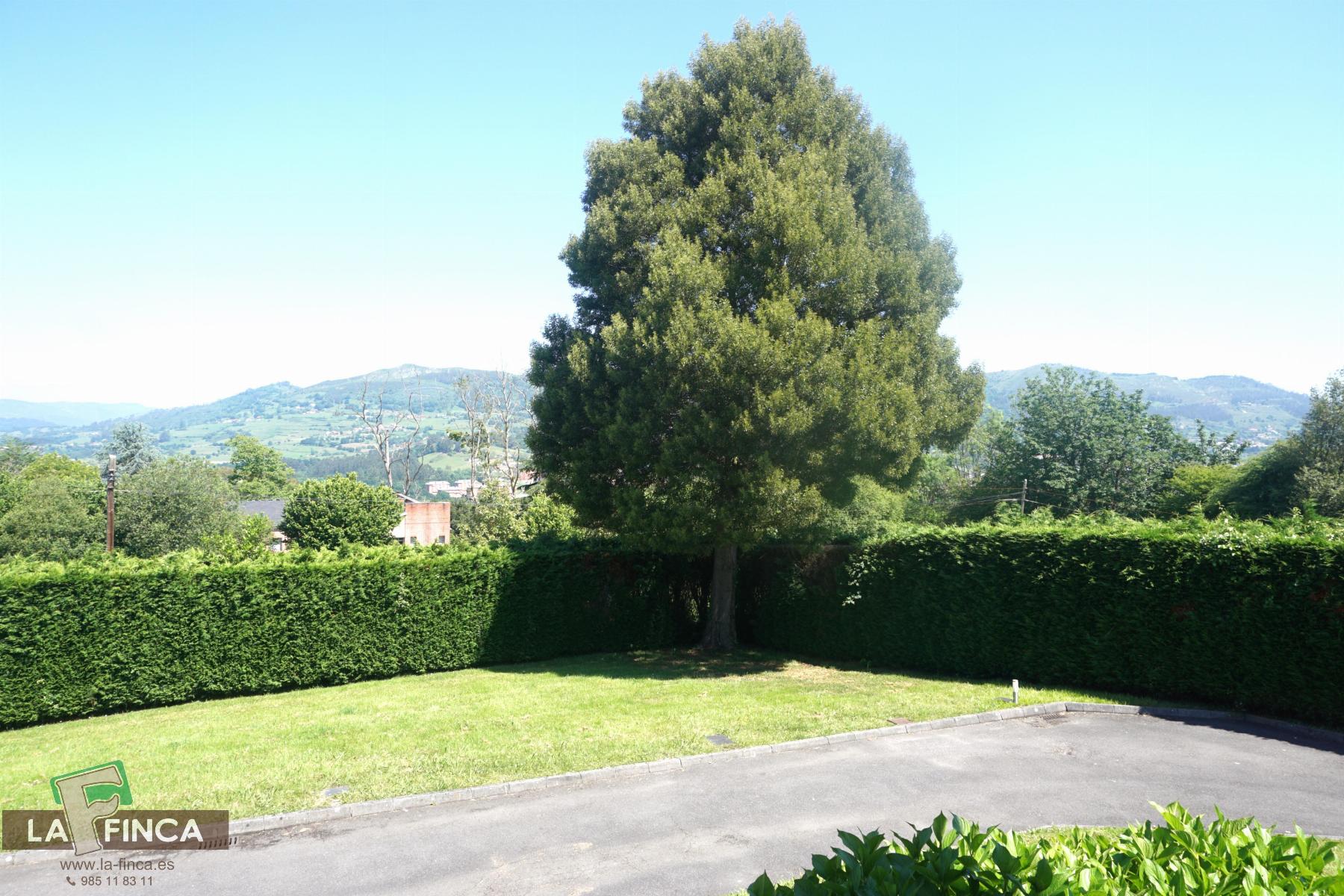 For sale of house in Oviedo
