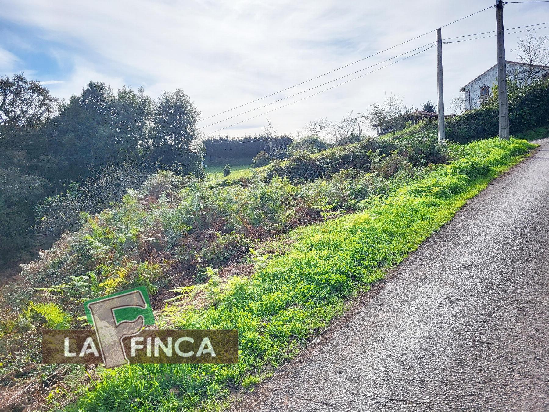 Venta de terreno en Carreño