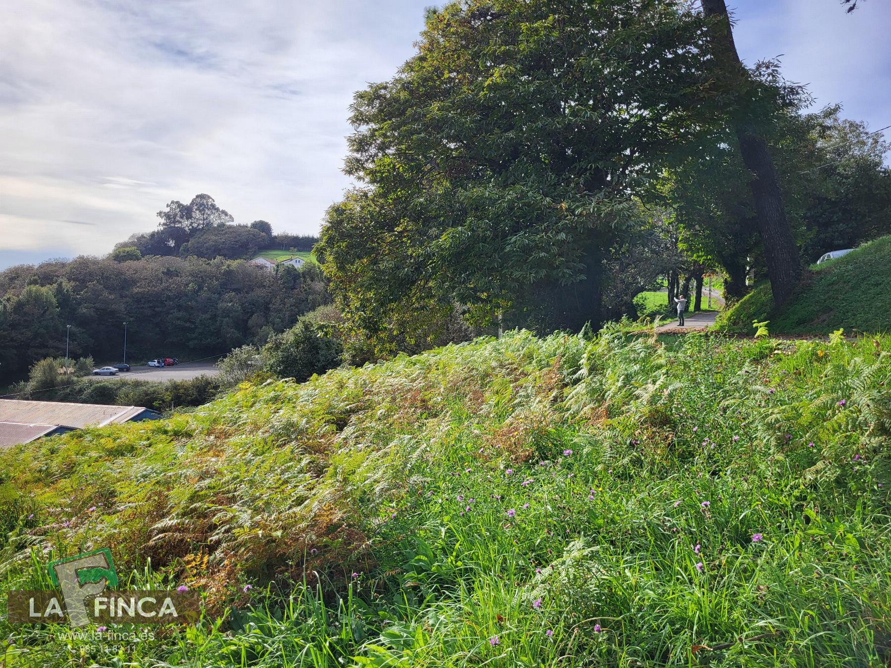 For sale of land in Carreño