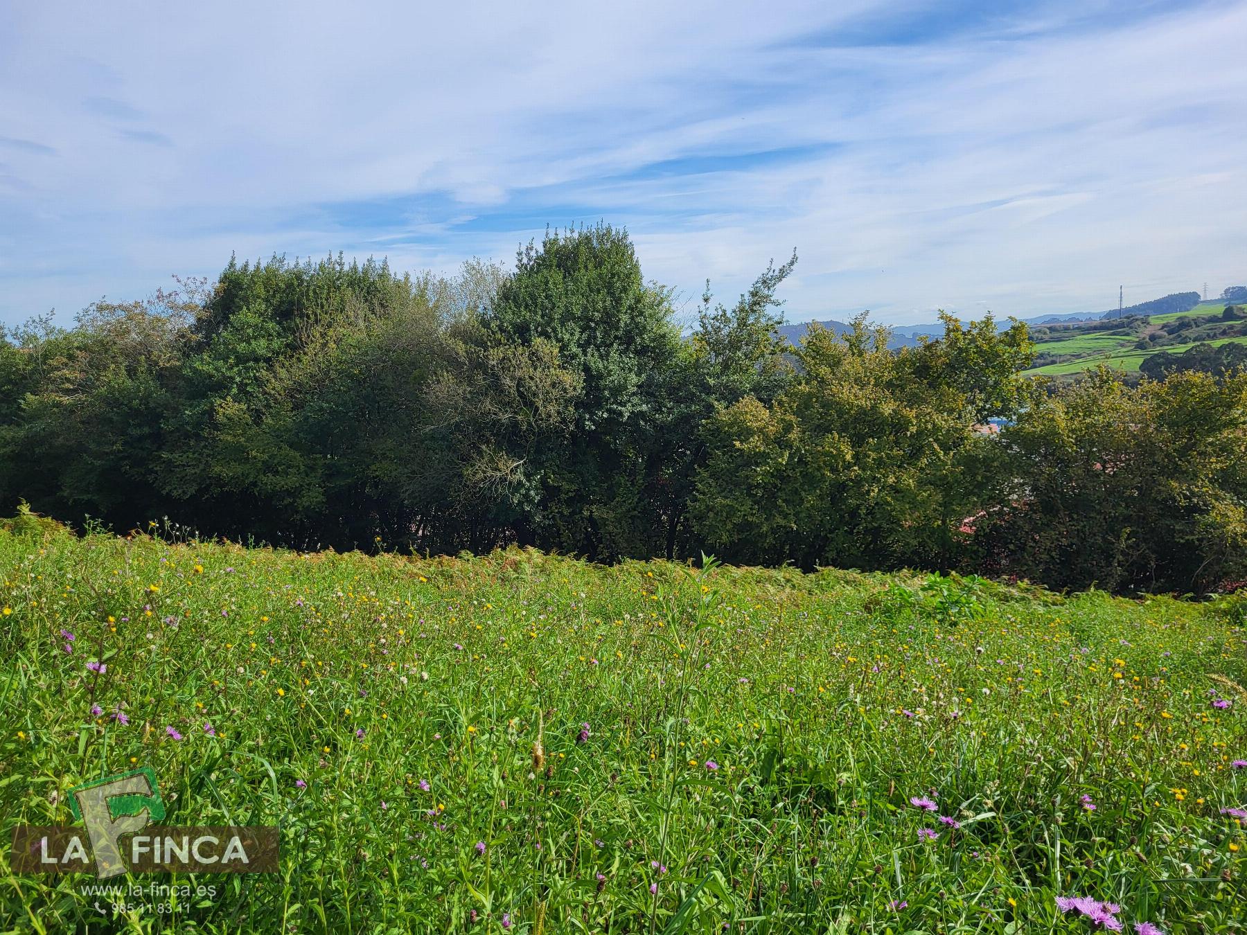 For sale of land in Carreño