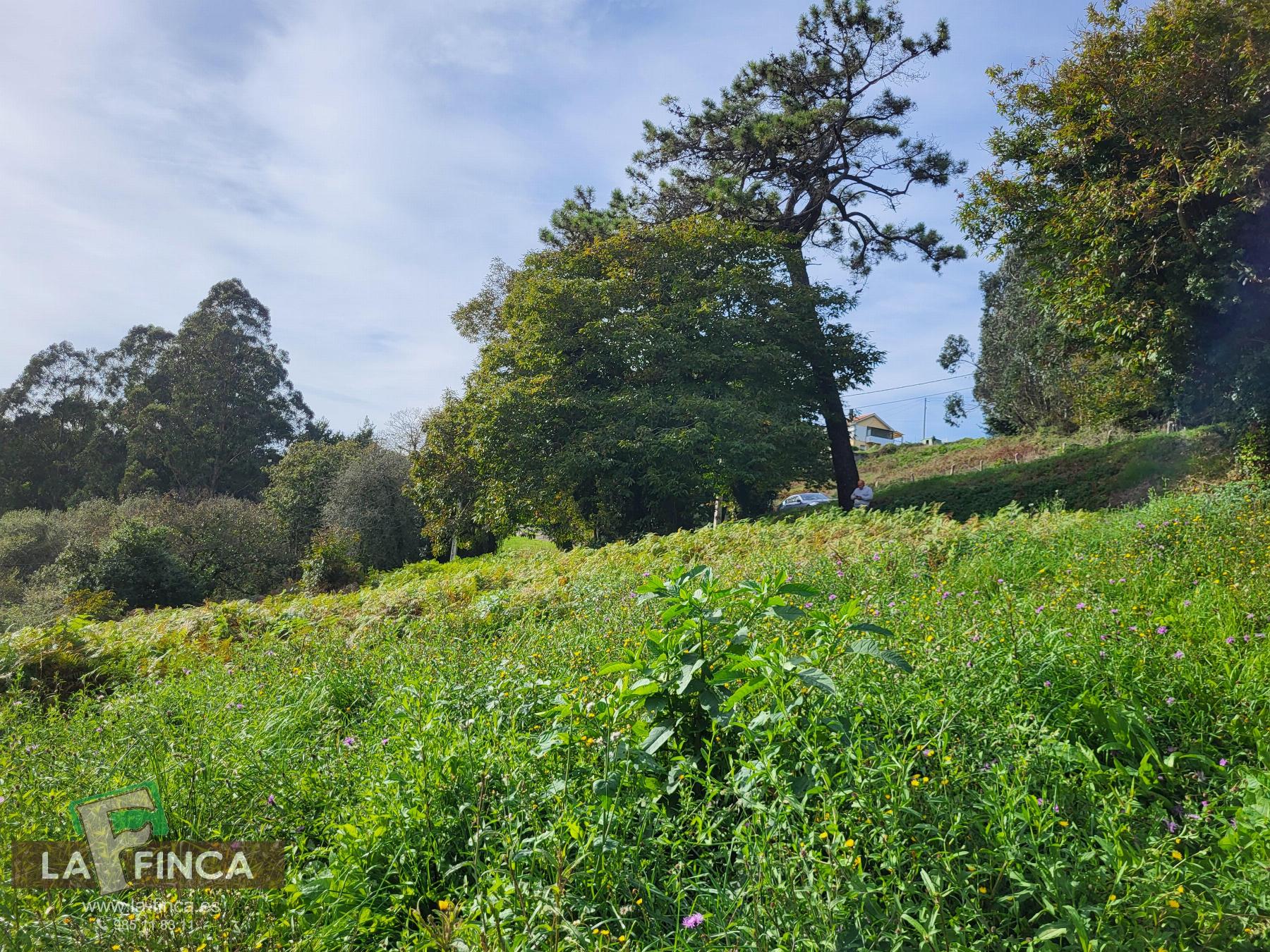 For sale of land in Carreño