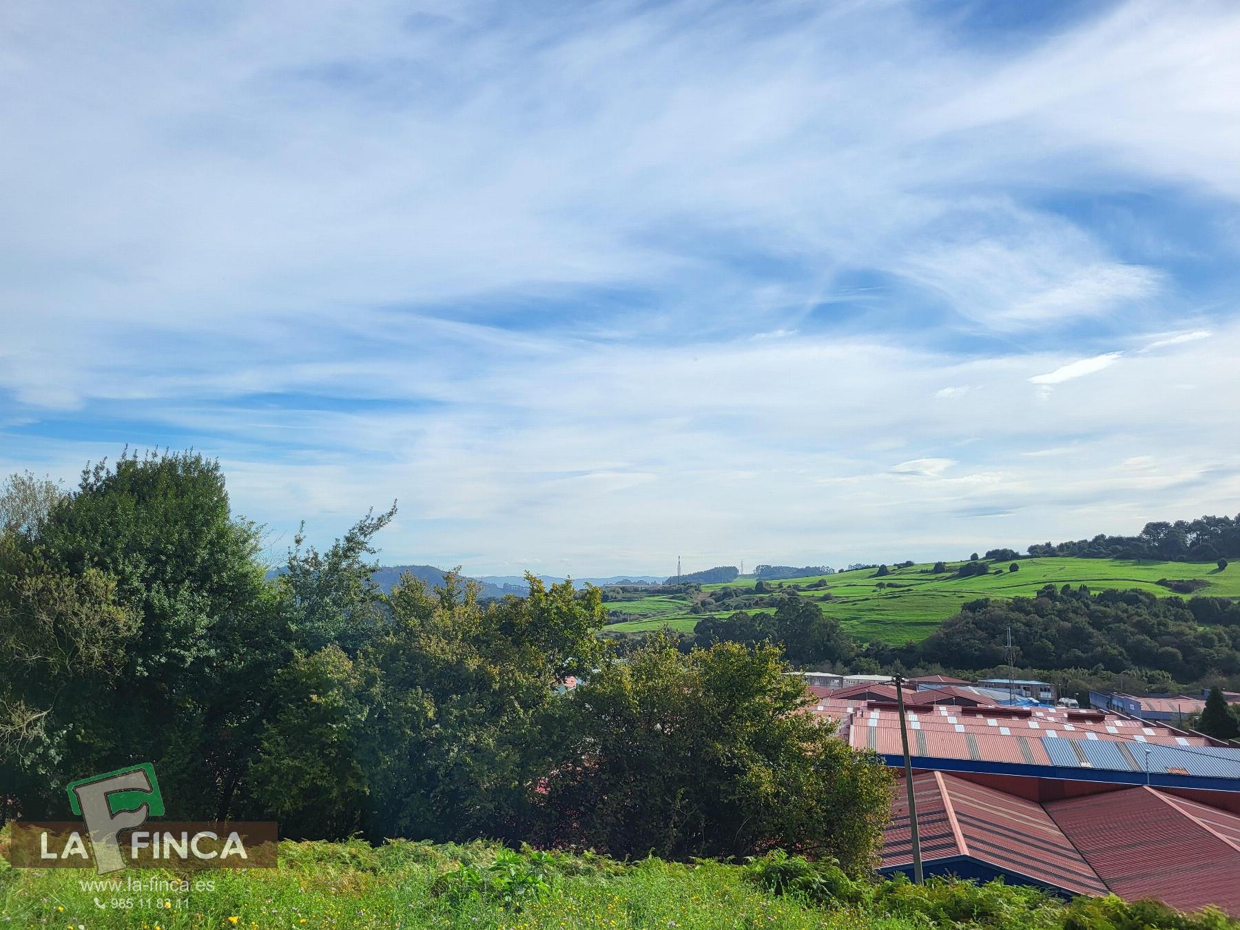 For sale of land in Carreño