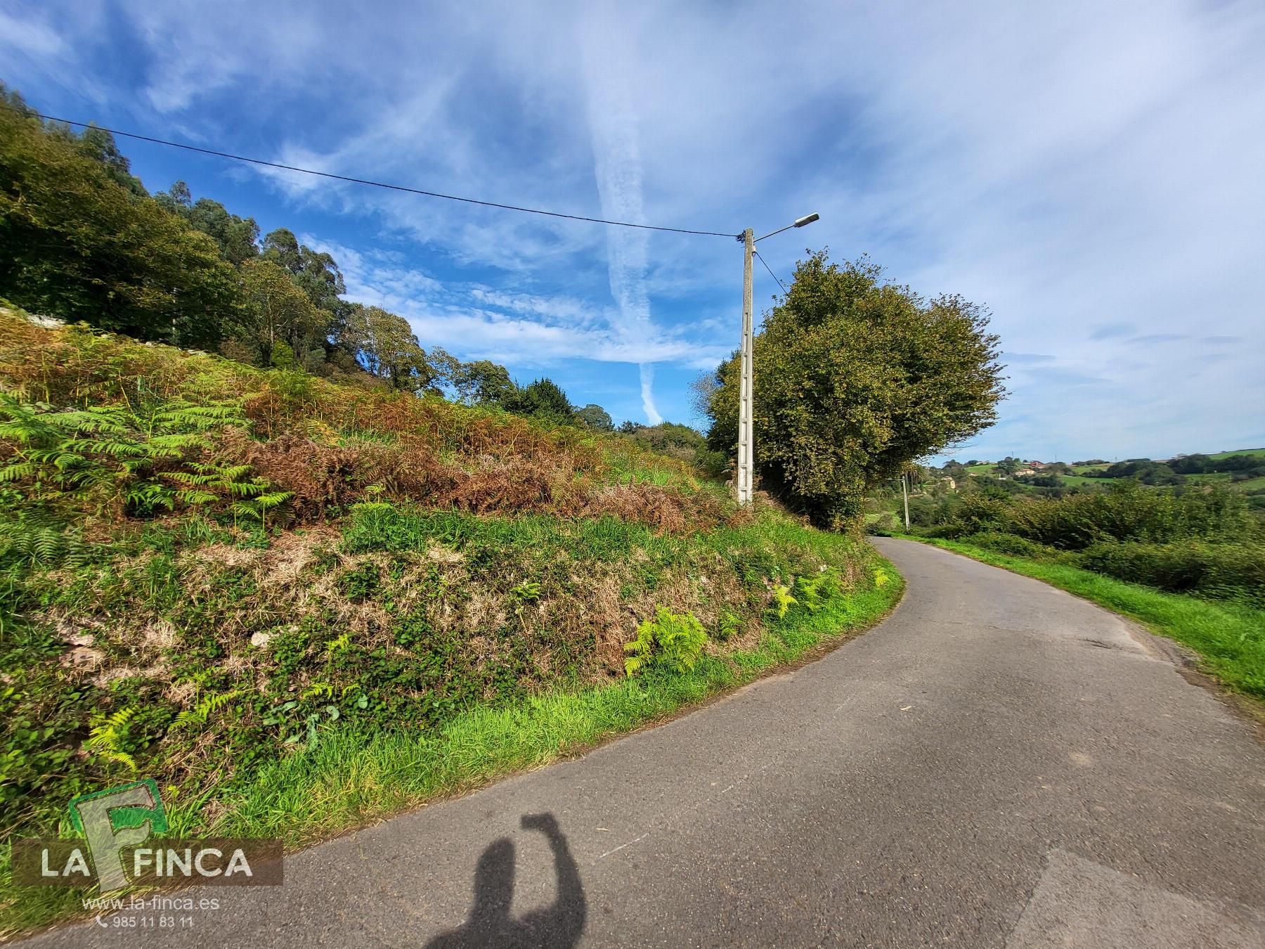 For sale of land in Carreño