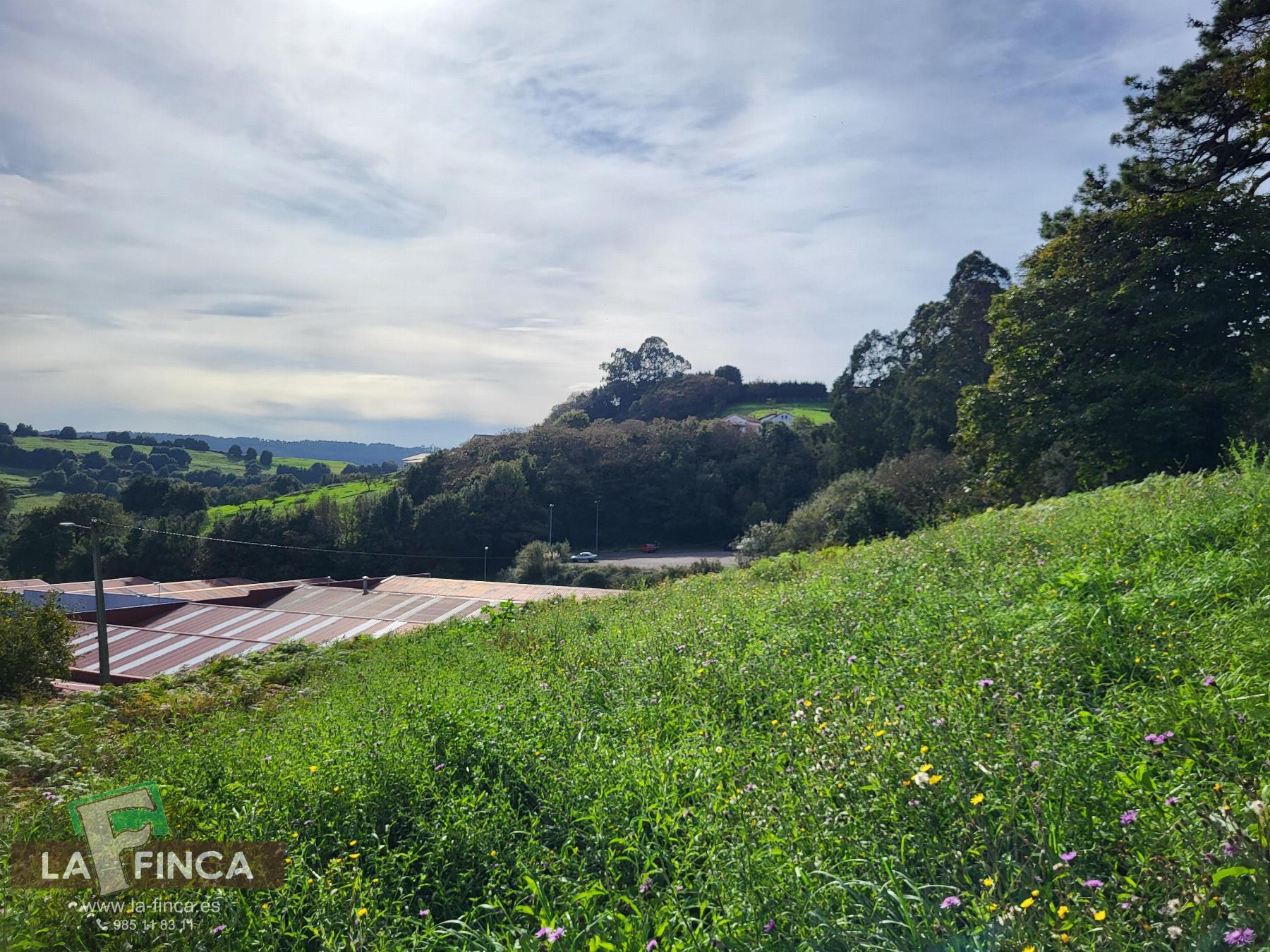 For sale of land in Carreño