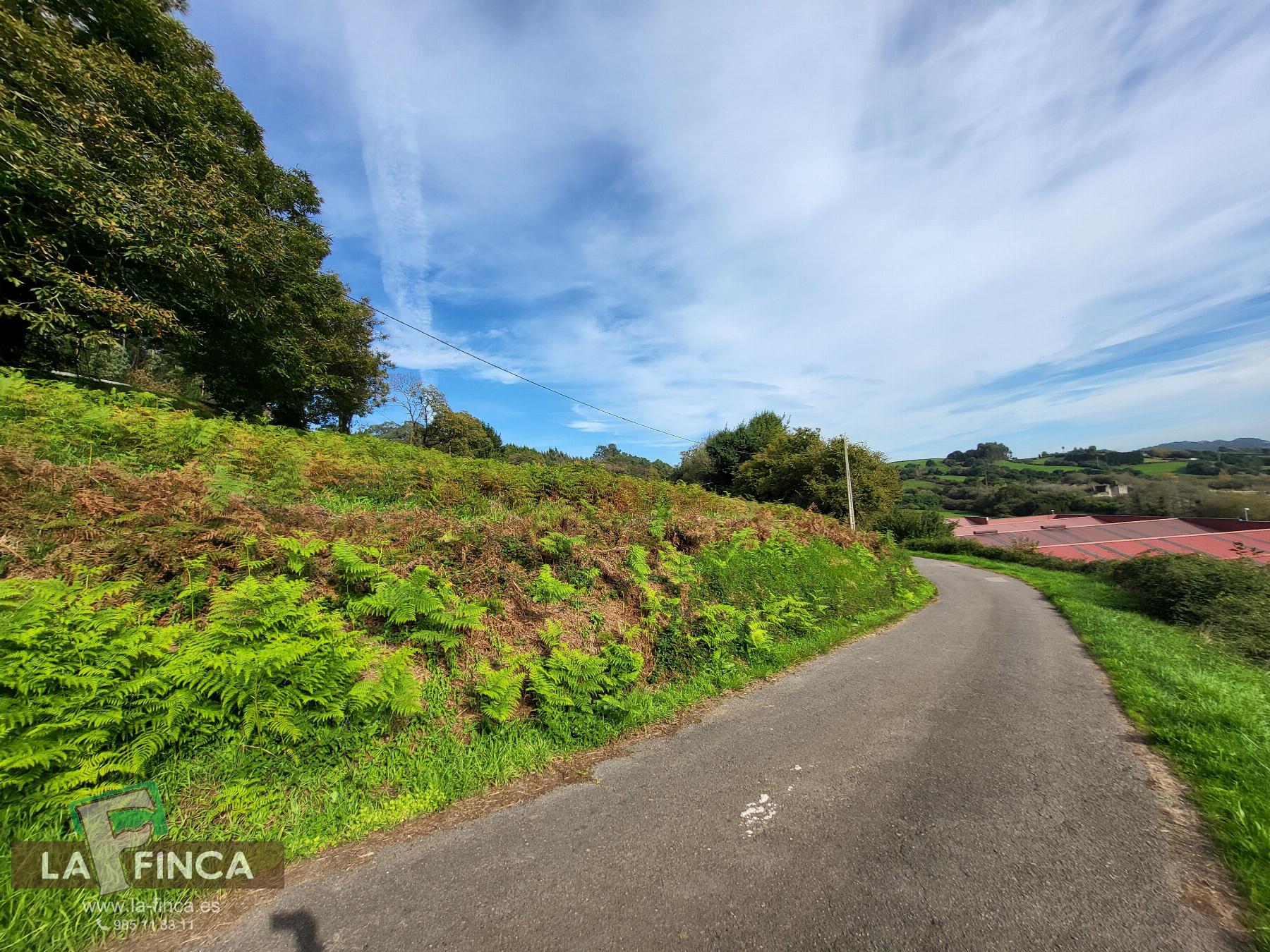 For sale of land in Carreño