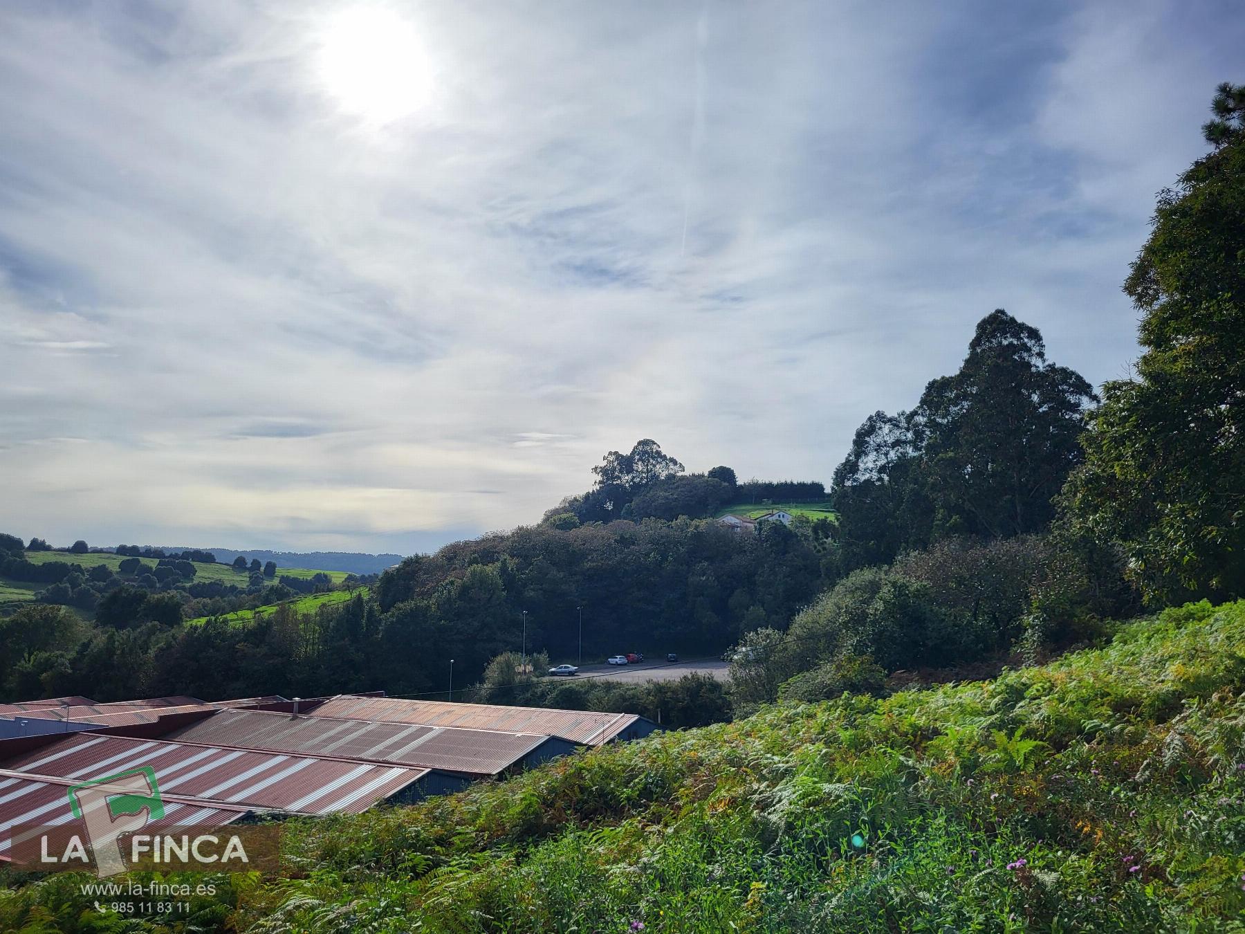 For sale of land in Carreño