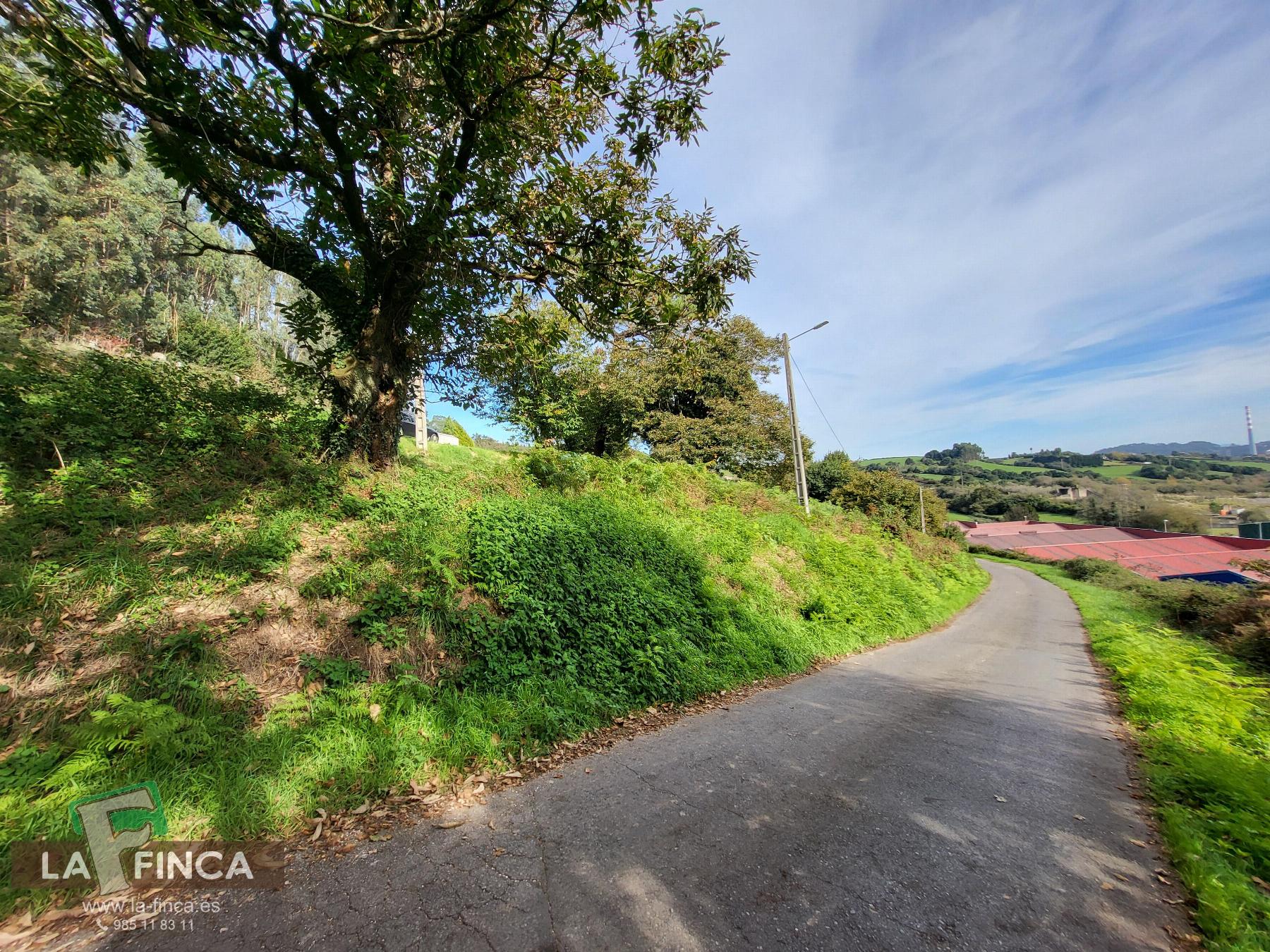 For sale of land in Carreño