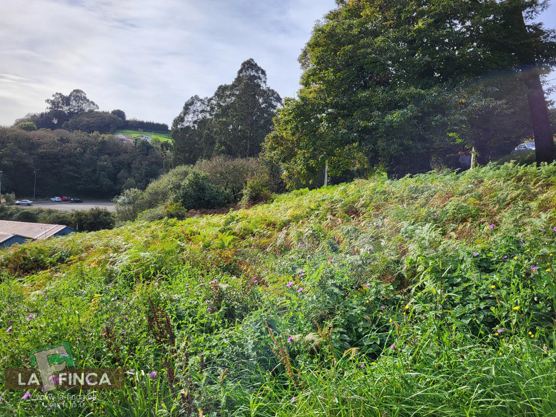 For sale of land in Carreño