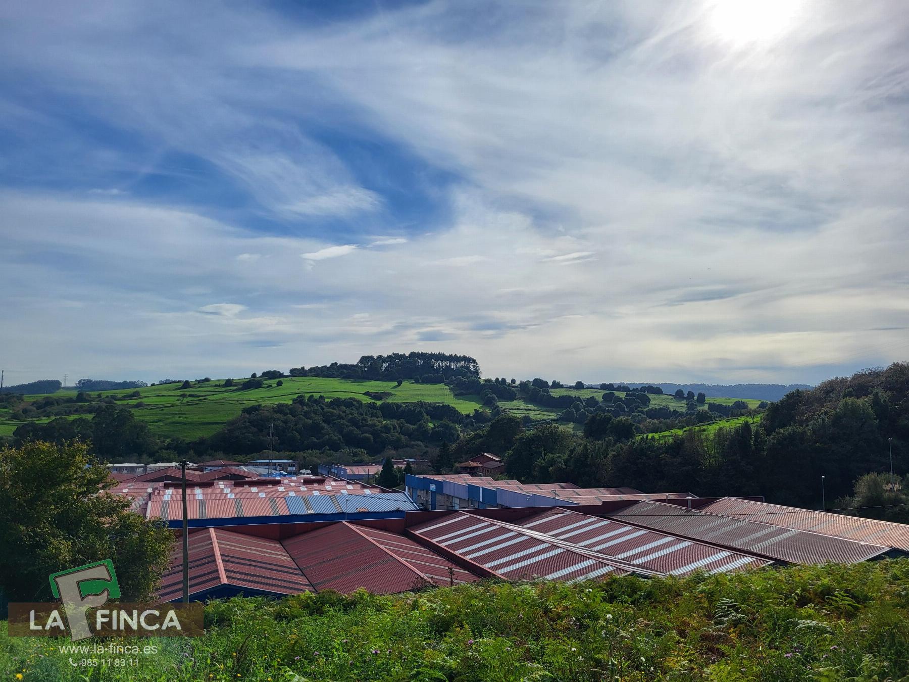 For sale of land in Carreño