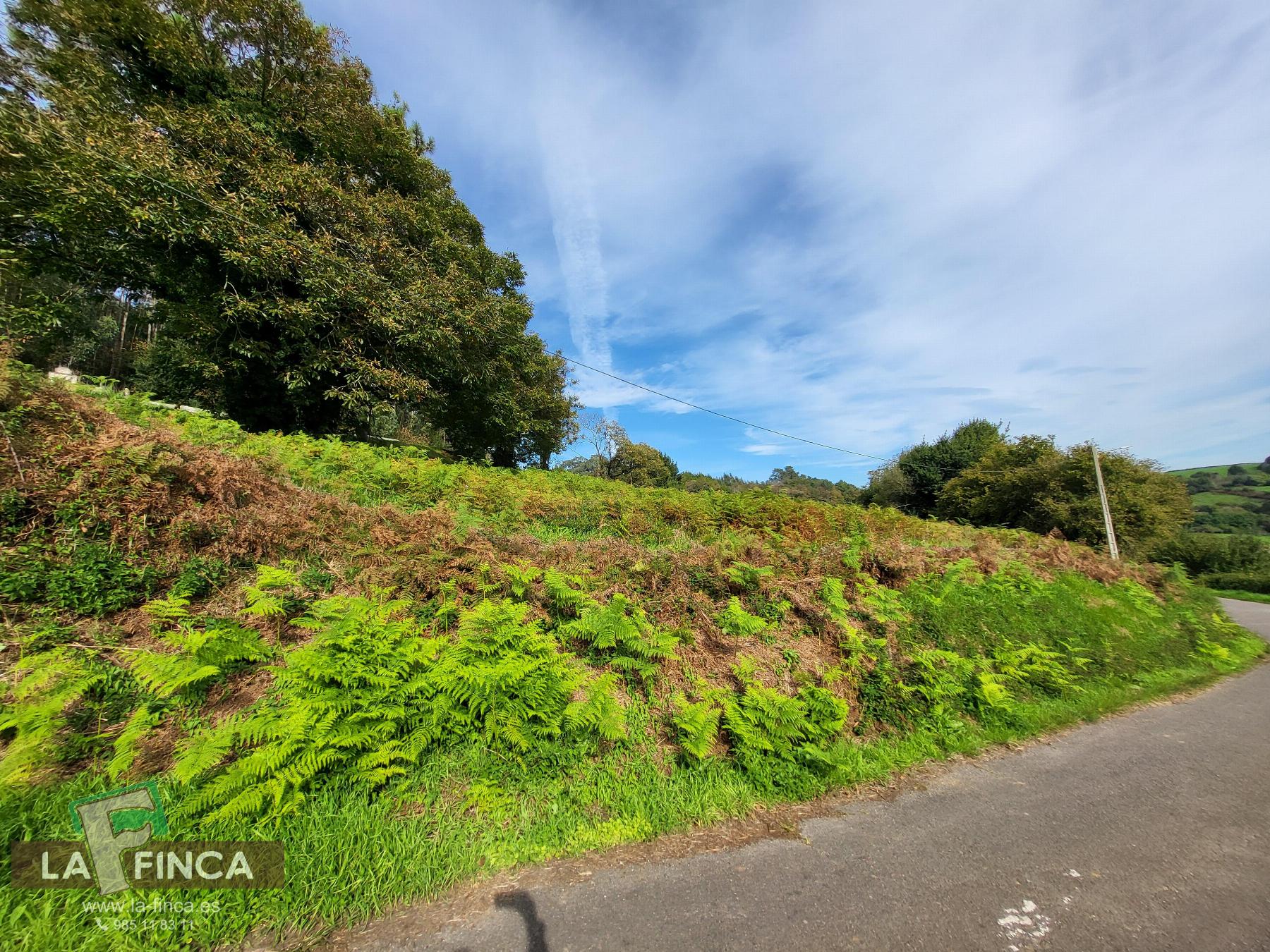 For sale of land in Carreño