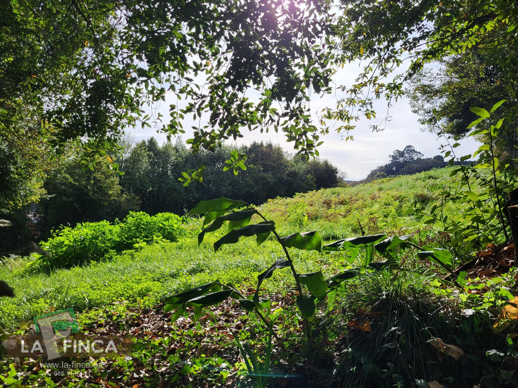 Venta de terreno en Carreño