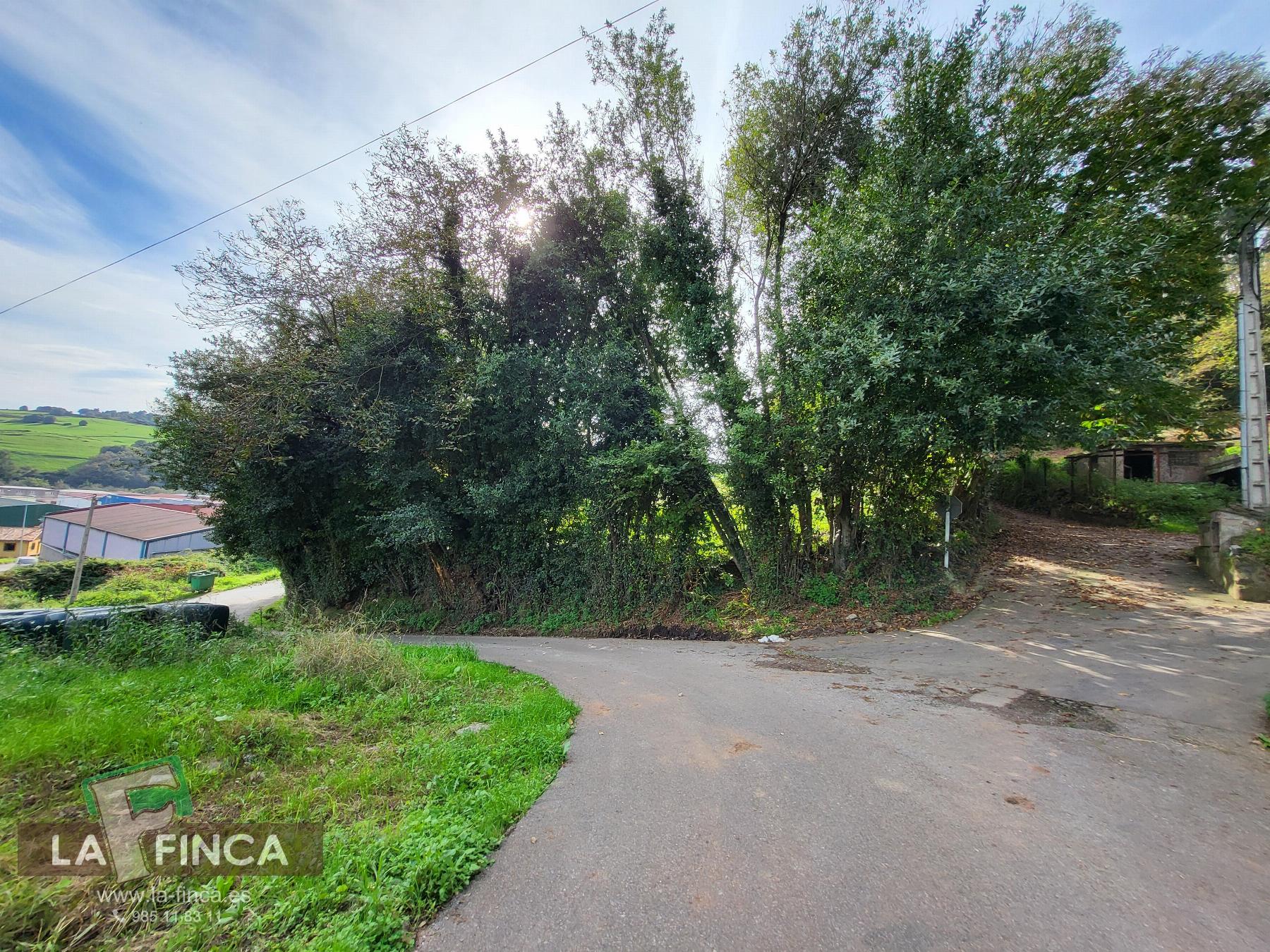 Venta de terreno en Carreño