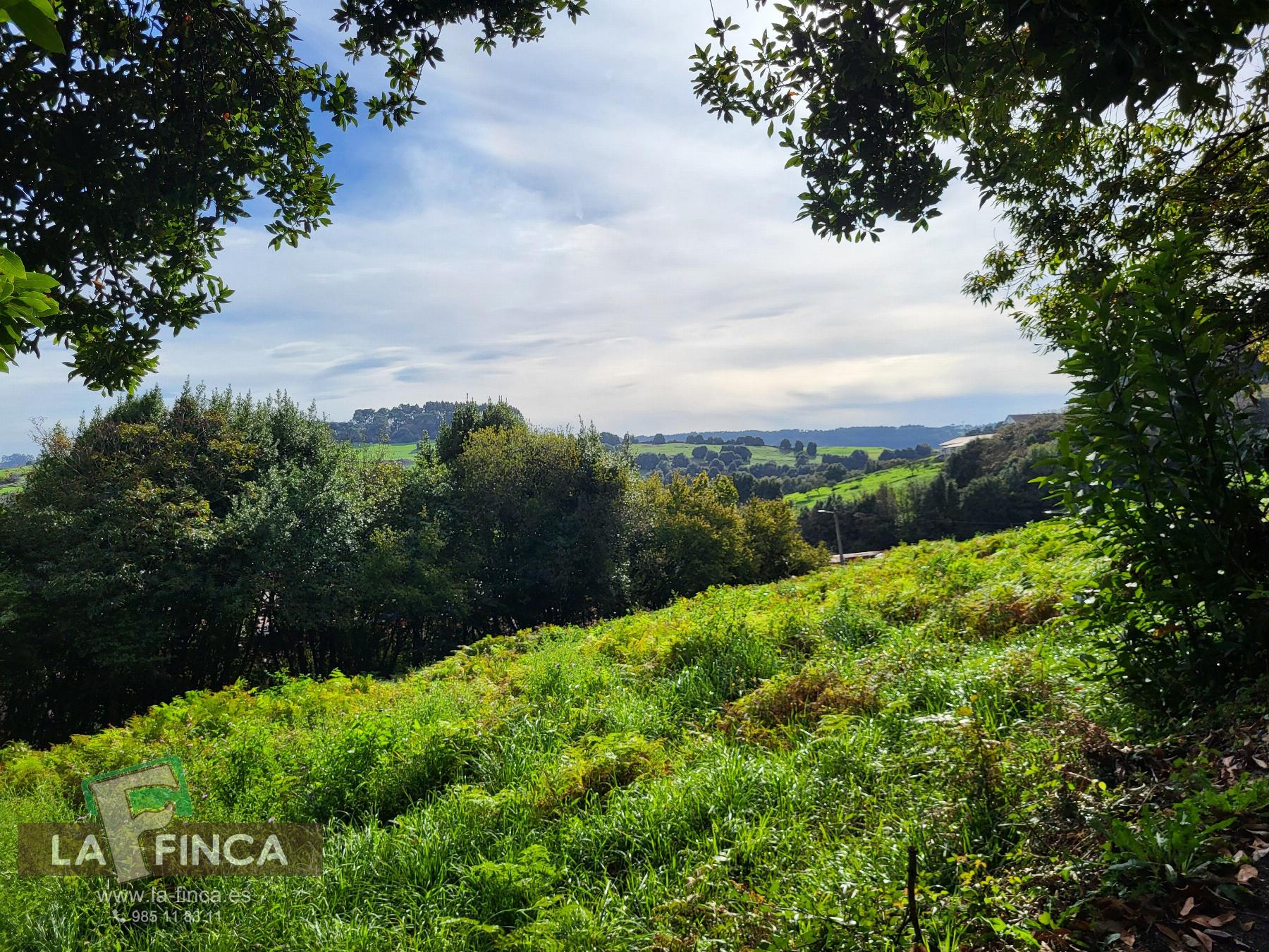 Venta de terreno en Carreño