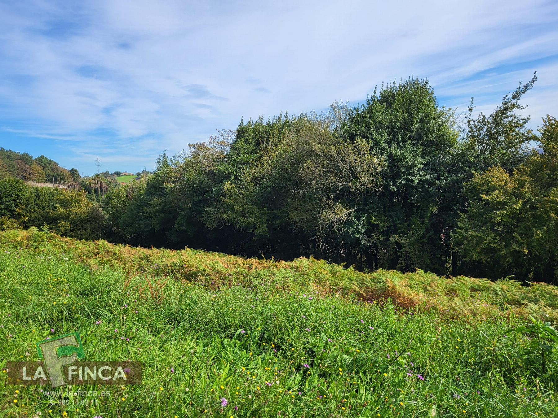 Venta de terreno en Carreño