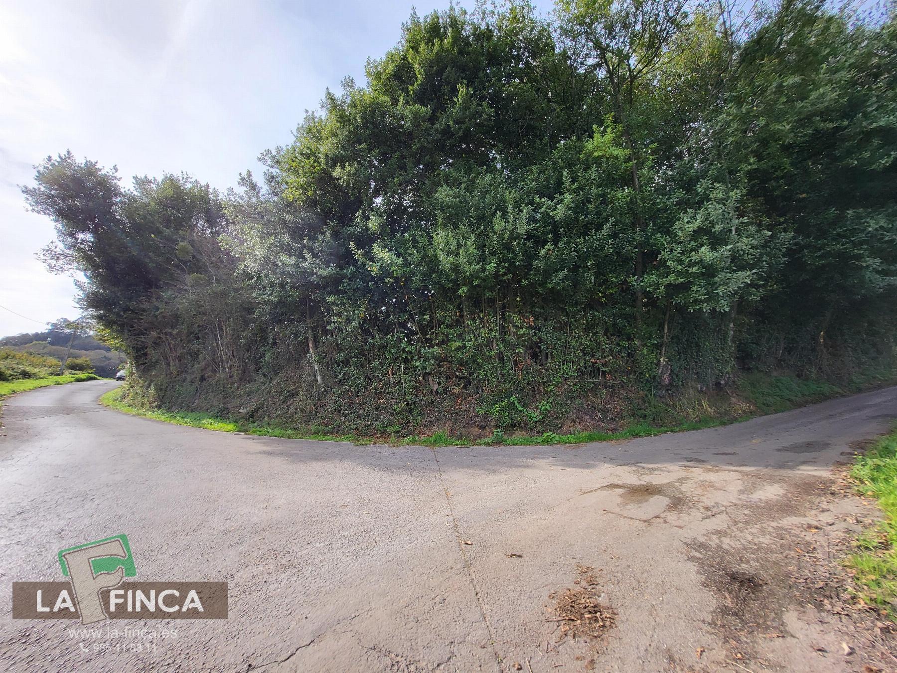 Venta de terreno en Carreño