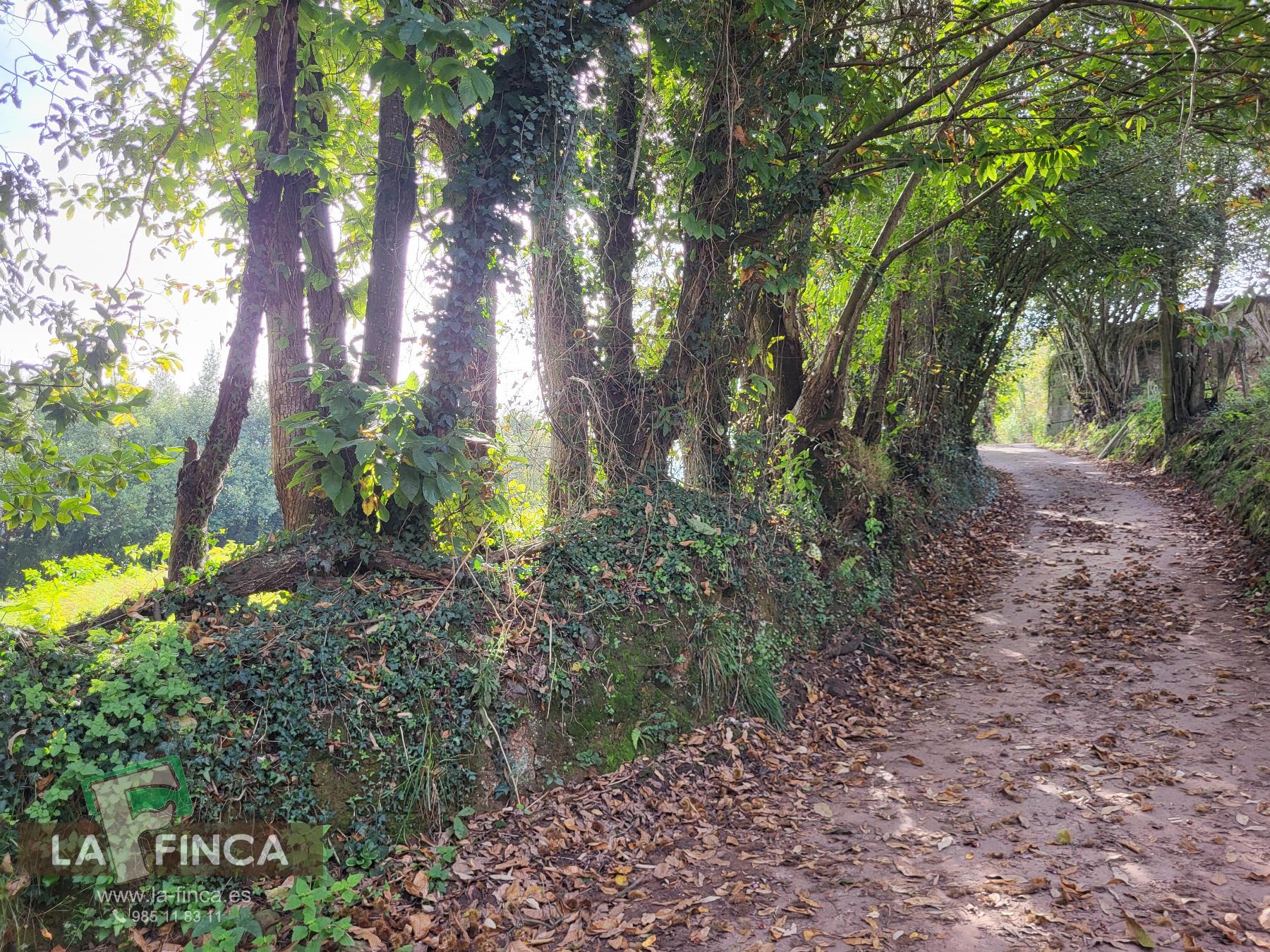 Venta de terreno en Carreño