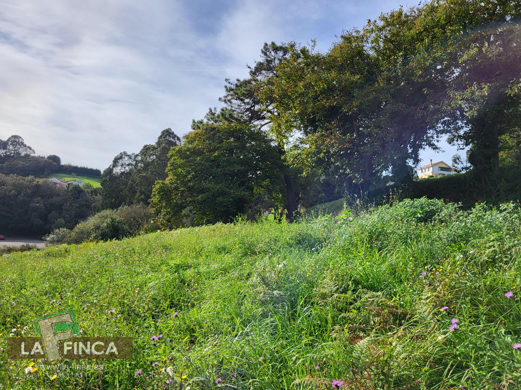 Venta de terreno en Carreño