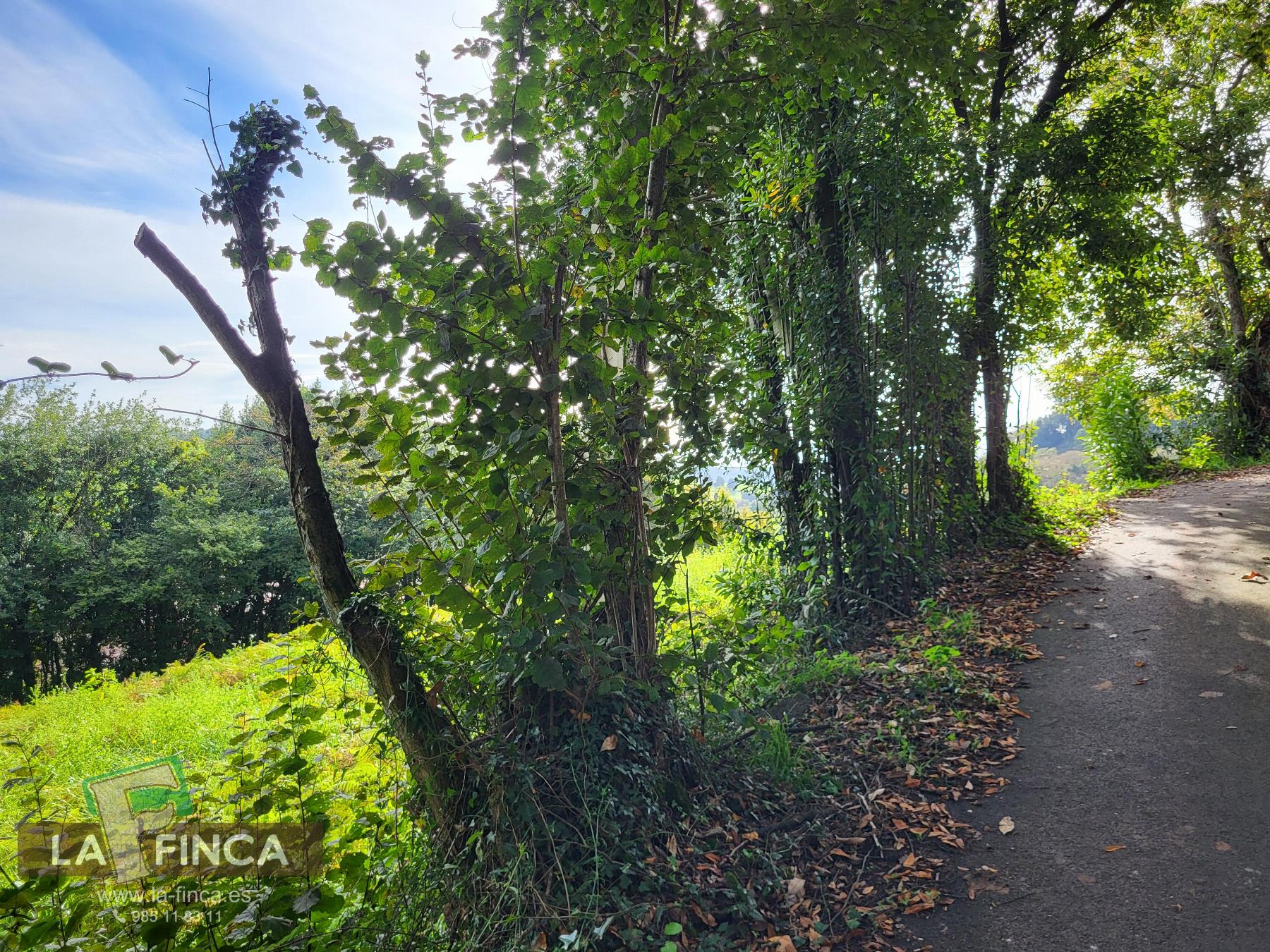 Venta de terreno en Carreño