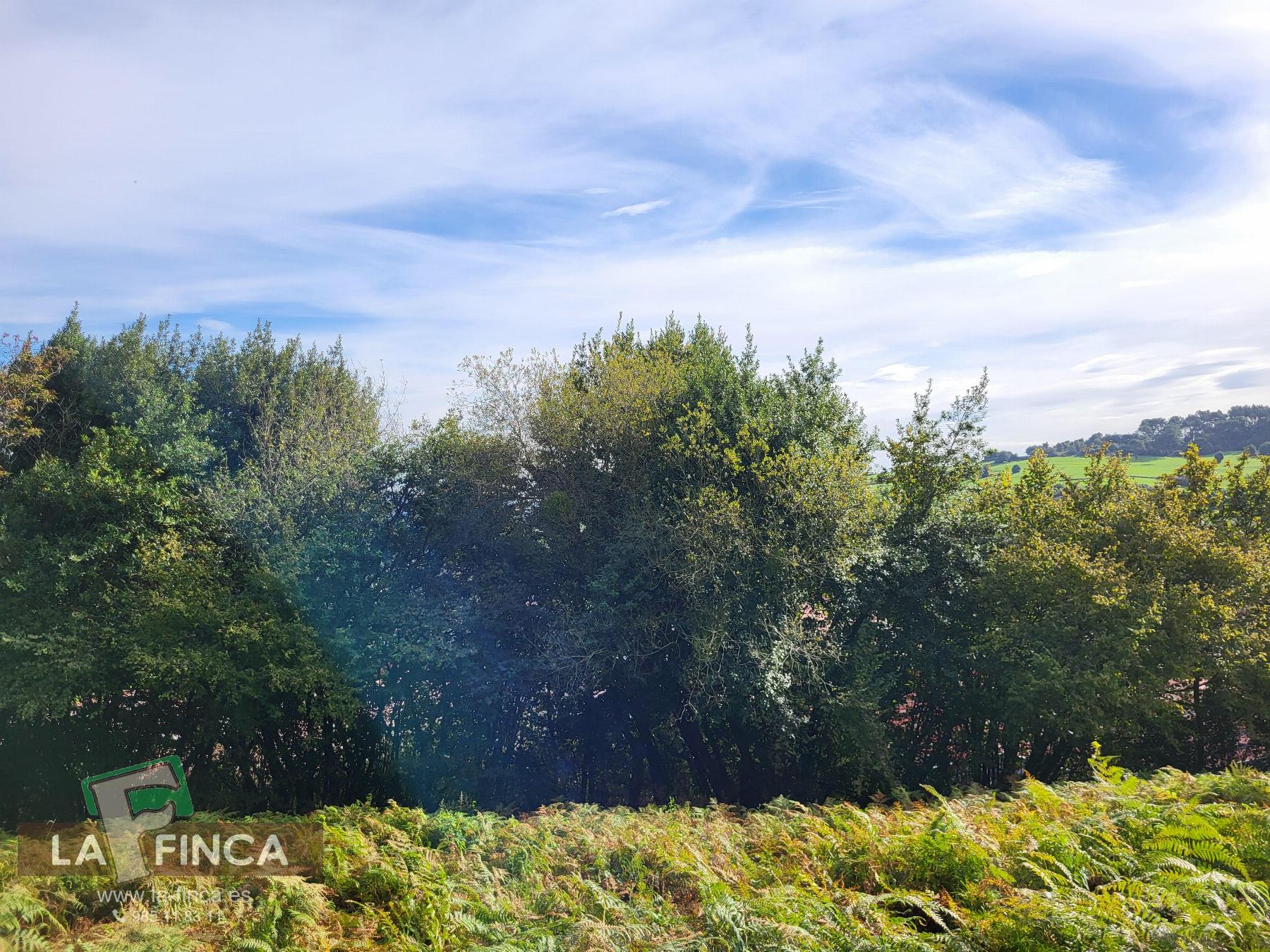 Venta de terreno en Carreño