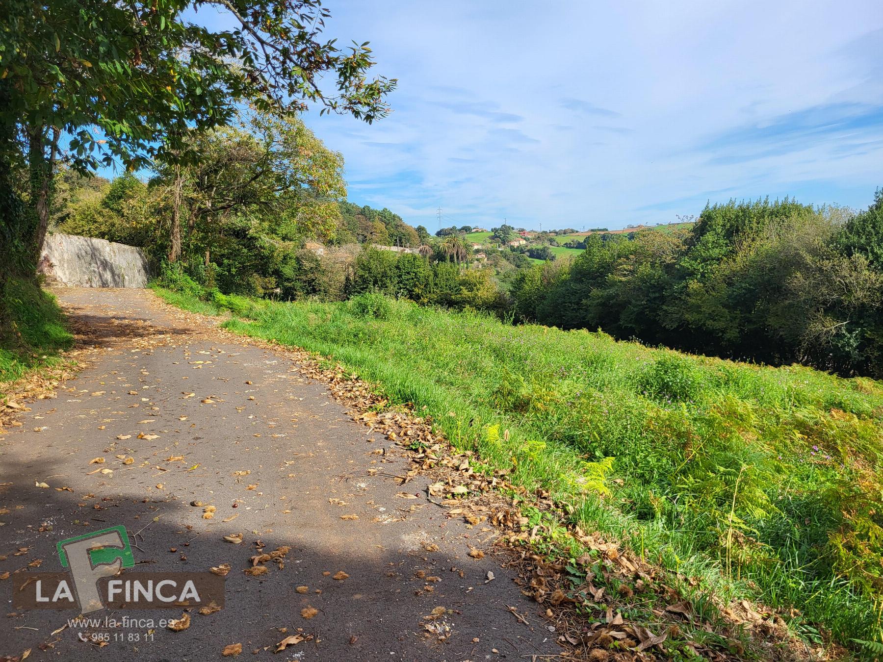Venta de terreno en Carreño