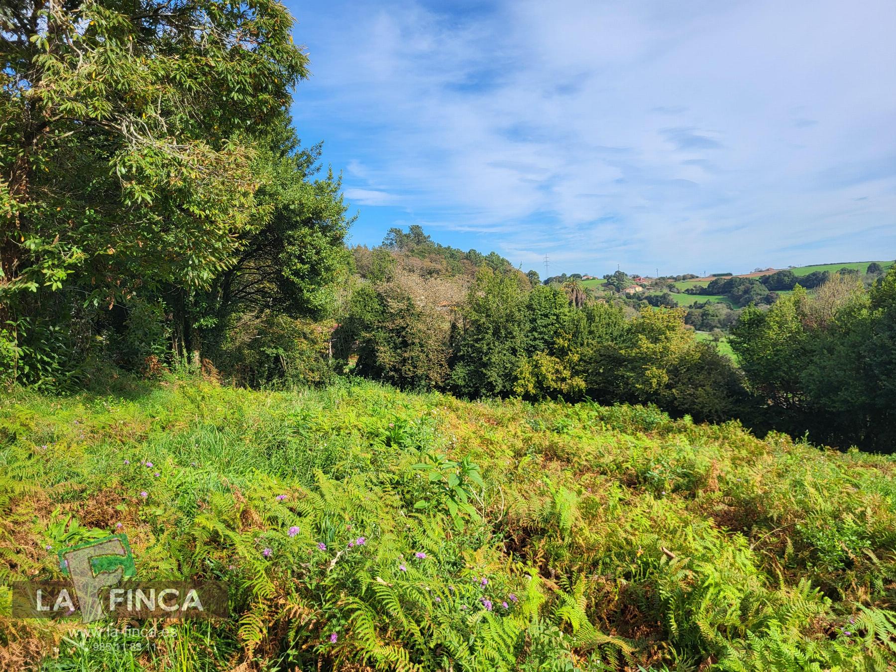 Venta de terreno en Carreño