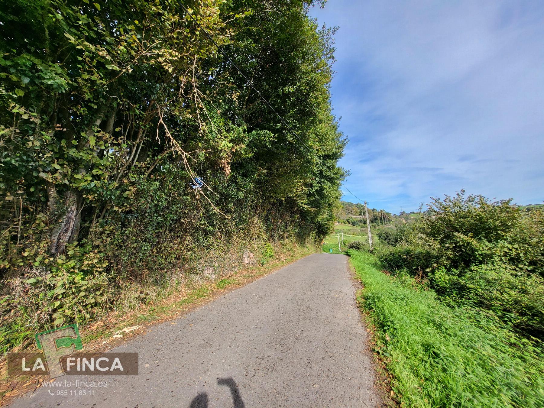Venta de terreno en Carreño