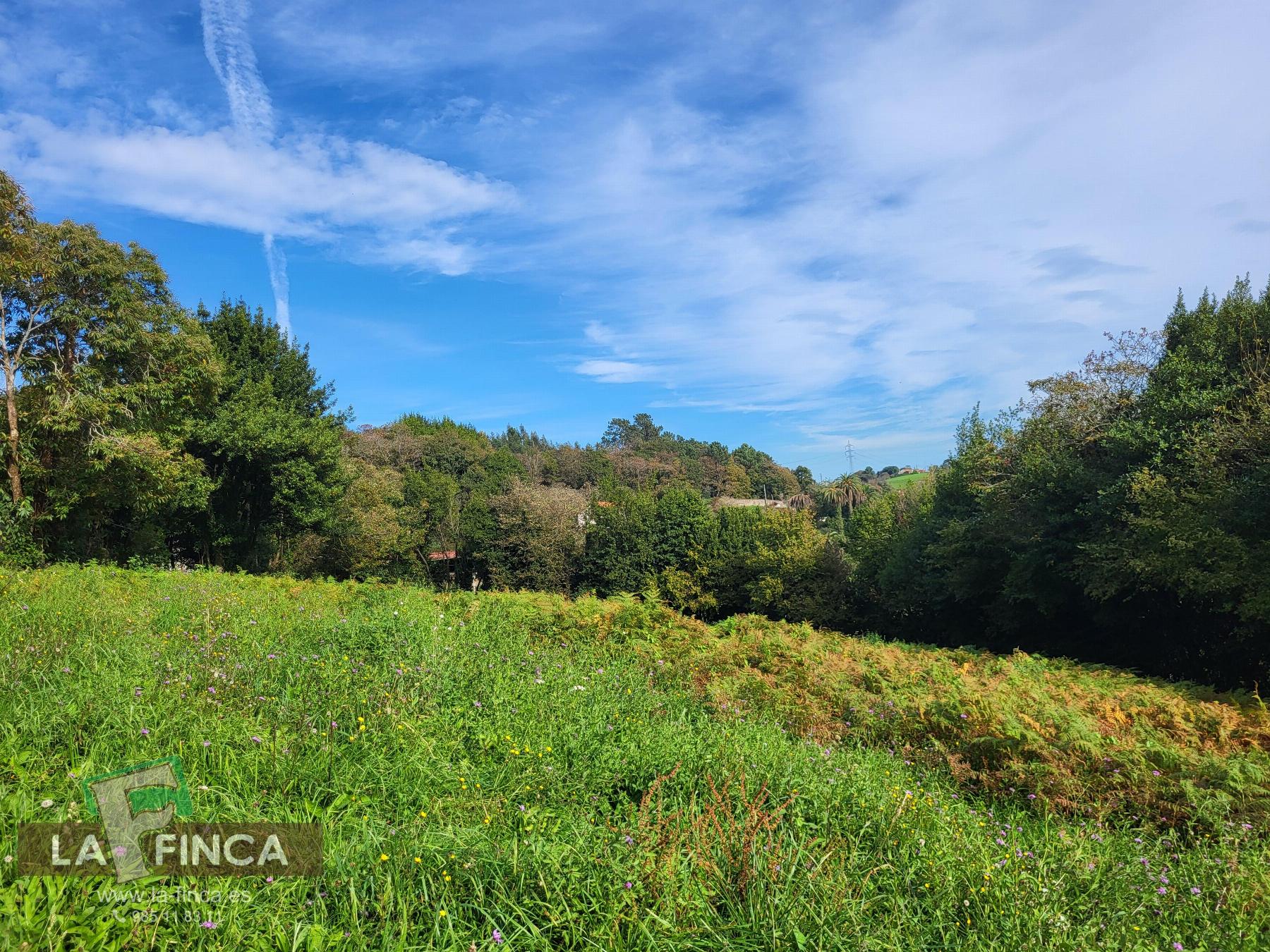 Venta de terreno en Carreño