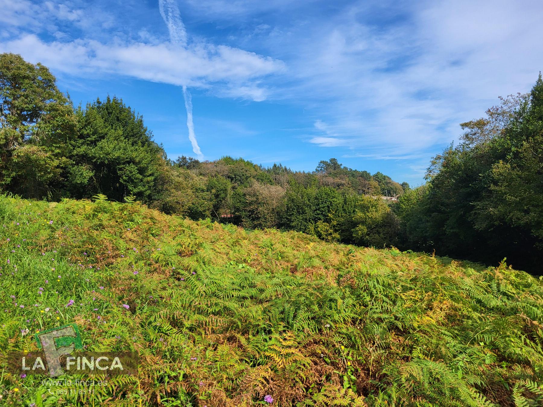Venta de terreno en Carreño