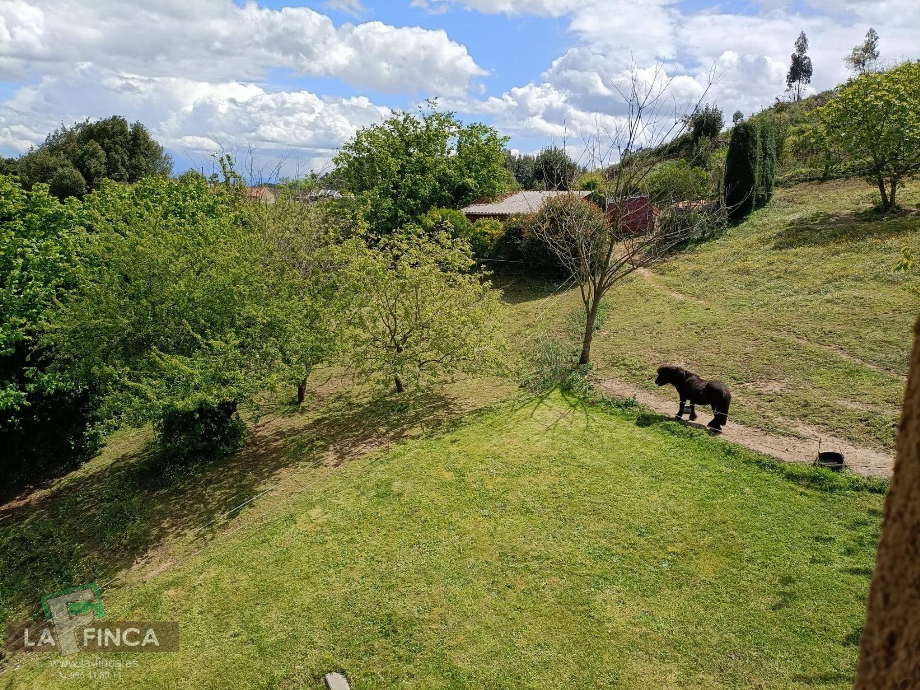 Venta de chalet en Oviedo