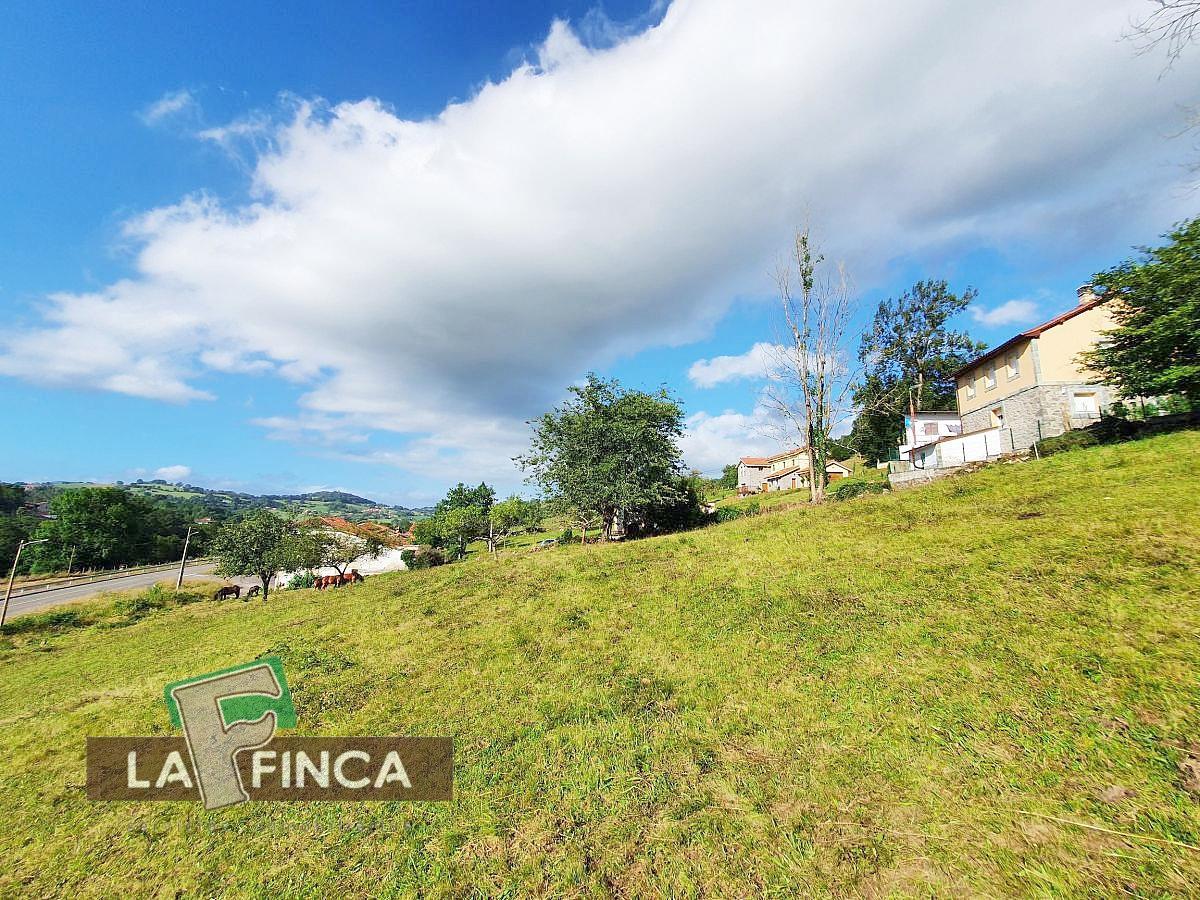 For sale of house in Oviedo