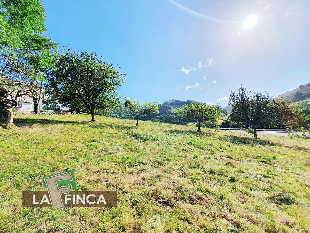 For sale of house in Oviedo