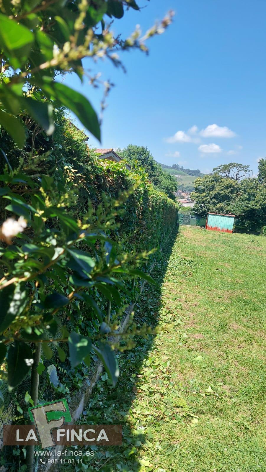 For sale of land in Llanera