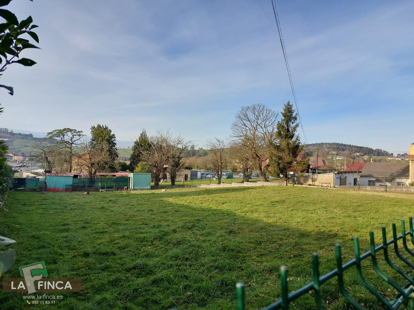 For sale of land in Llanera