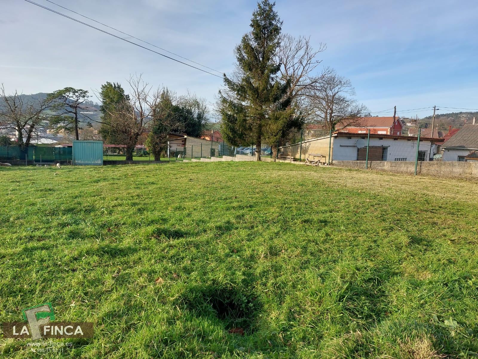 For sale of land in Llanera