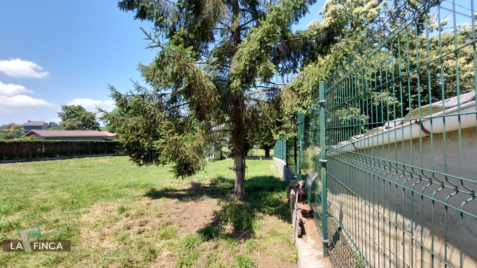 For sale of land in Llanera