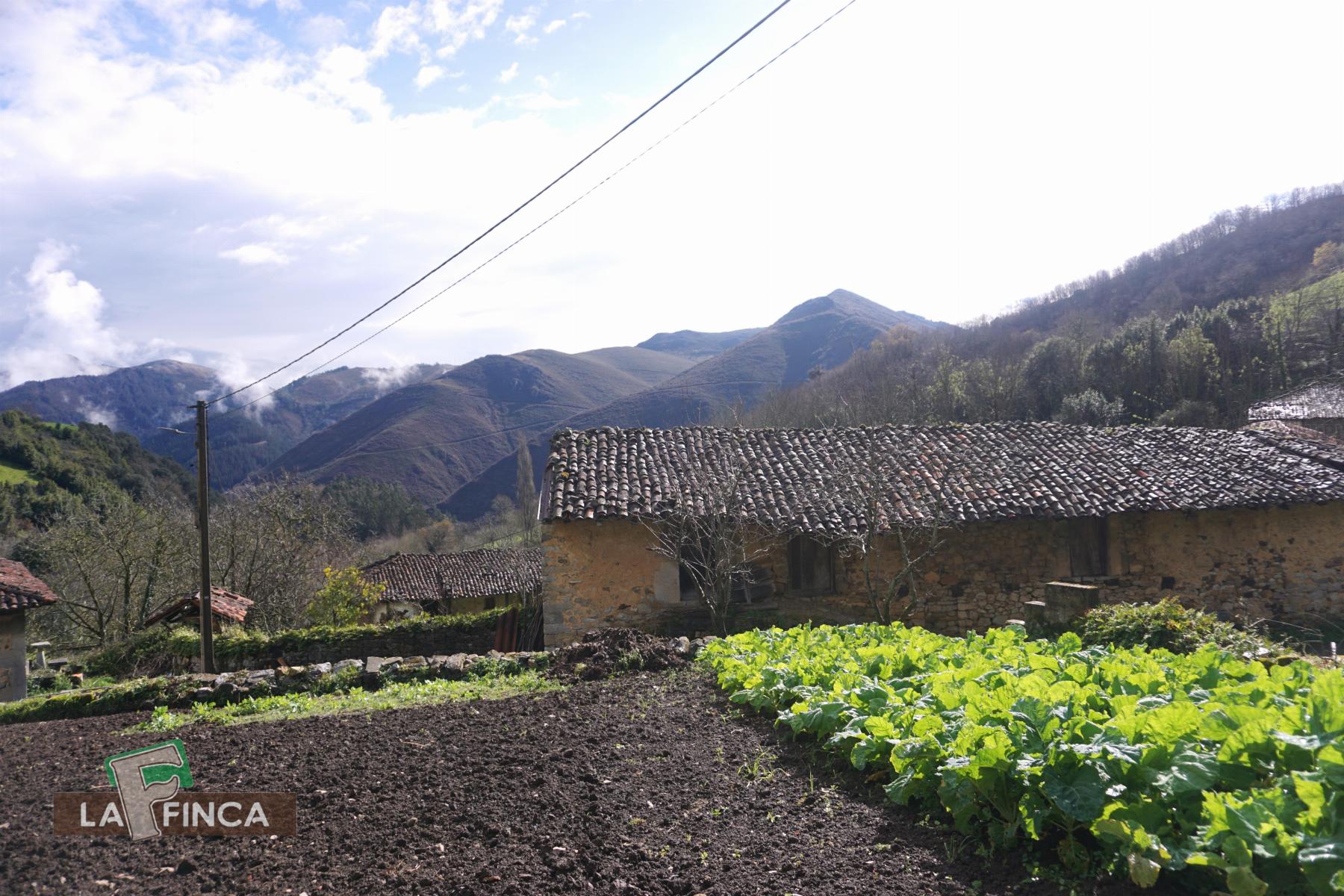 Venta de casa en Belmonte de Miranda