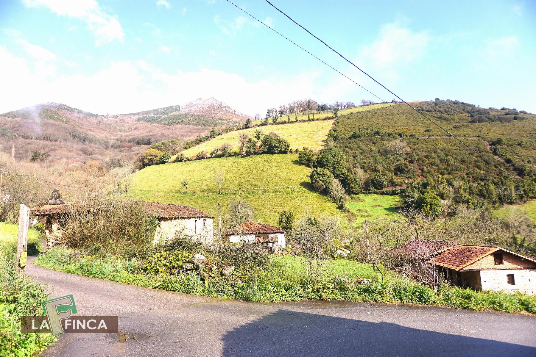 Venta de casa en Belmonte de Miranda