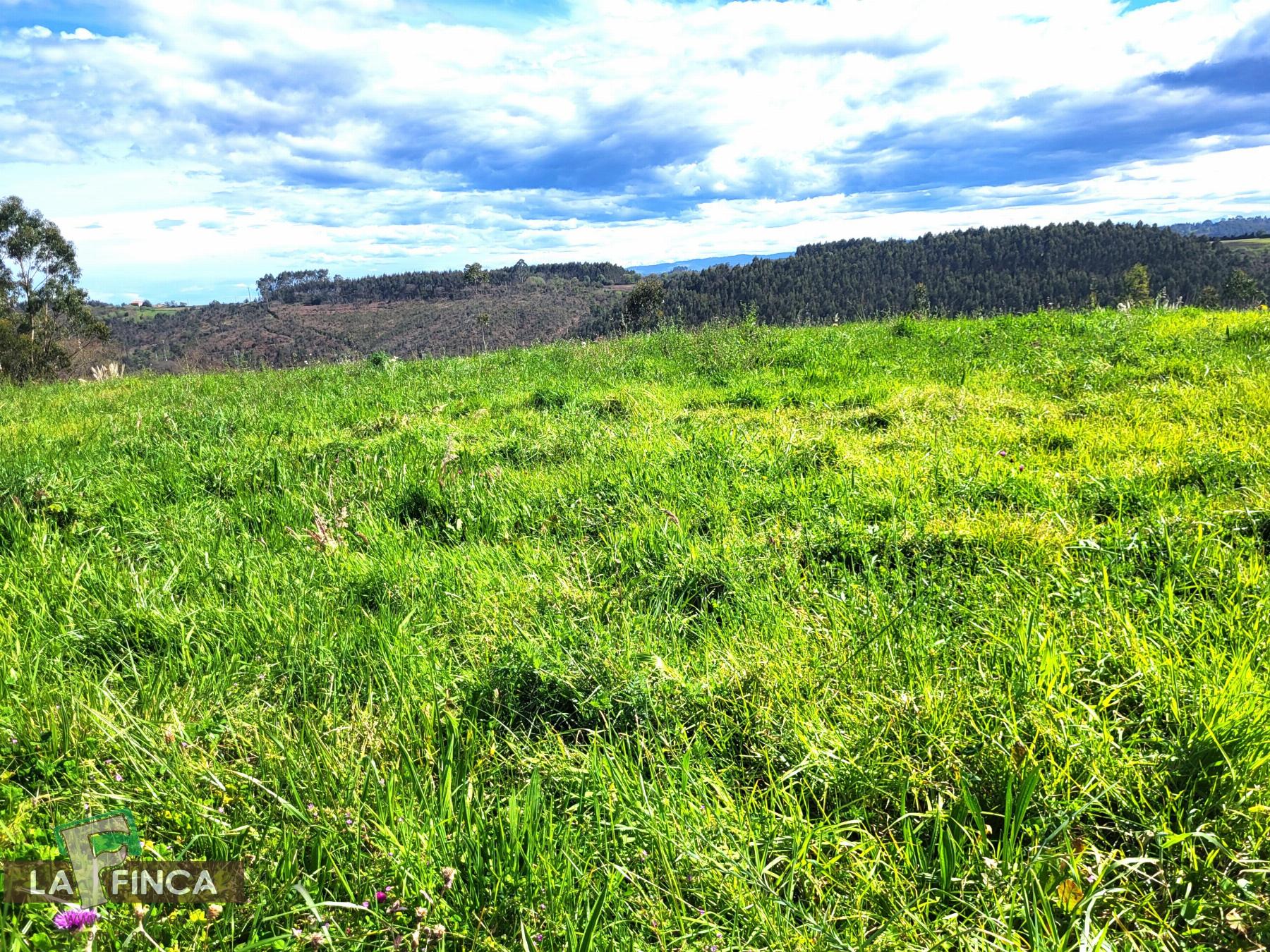 Venta de terreno en Candás