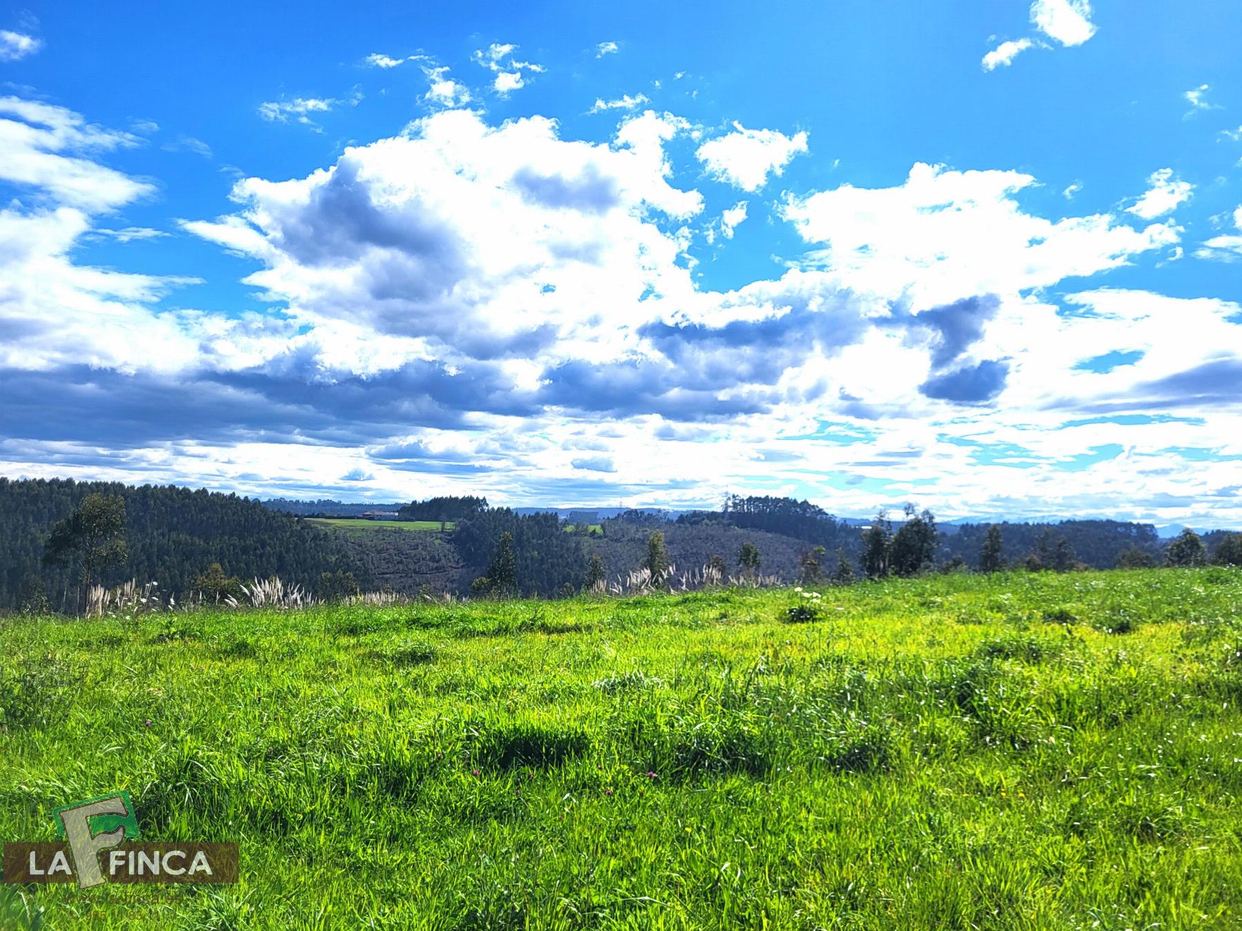 Venta de terreno en Candás