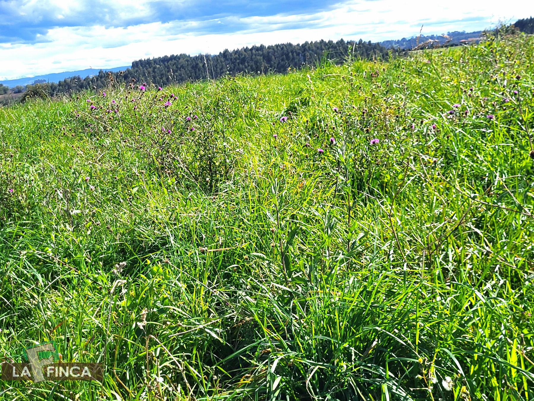 Venta de terreno en Candás