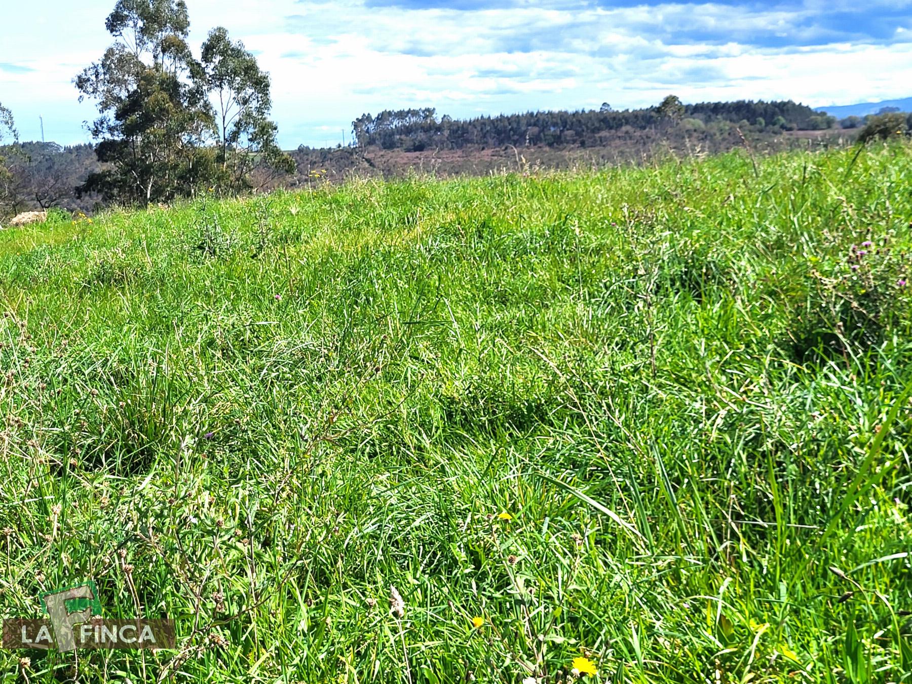 Venta de terreno en Candás