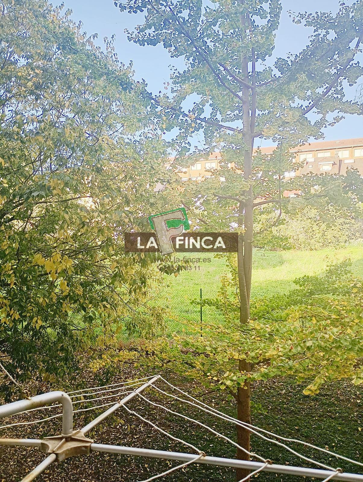 Alrededores