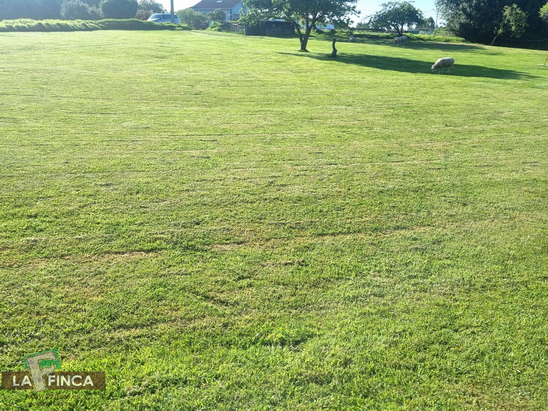 Venta de casa en Castrillón