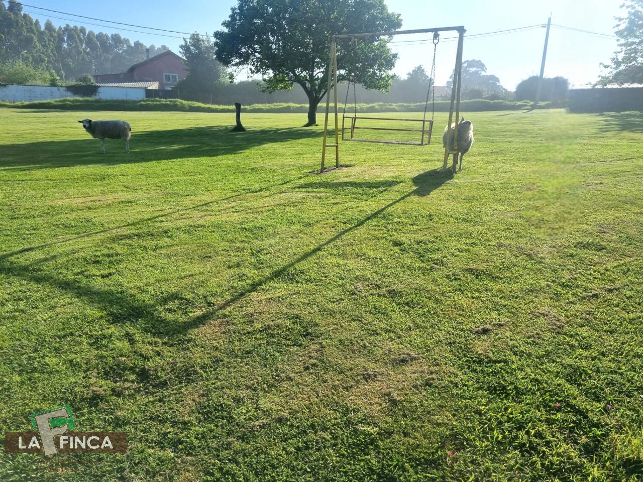 Venta de casa en Castrillón