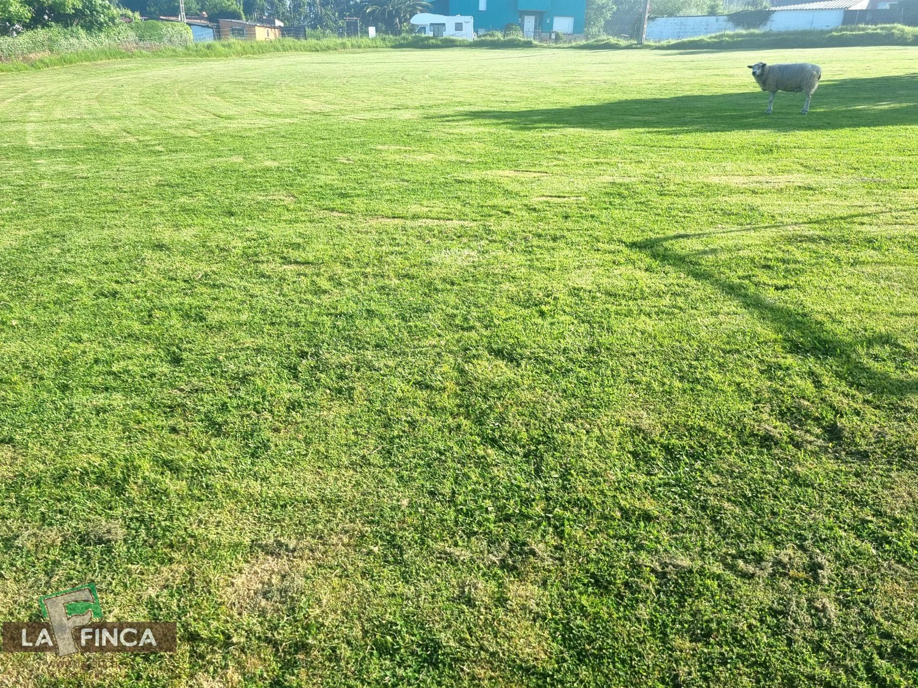 Venta de casa en Castrillón