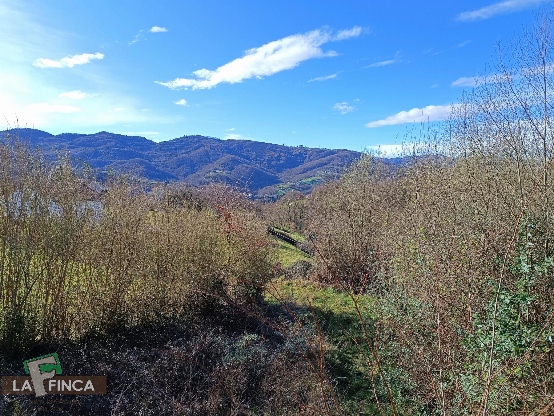 For sale of house in Siero