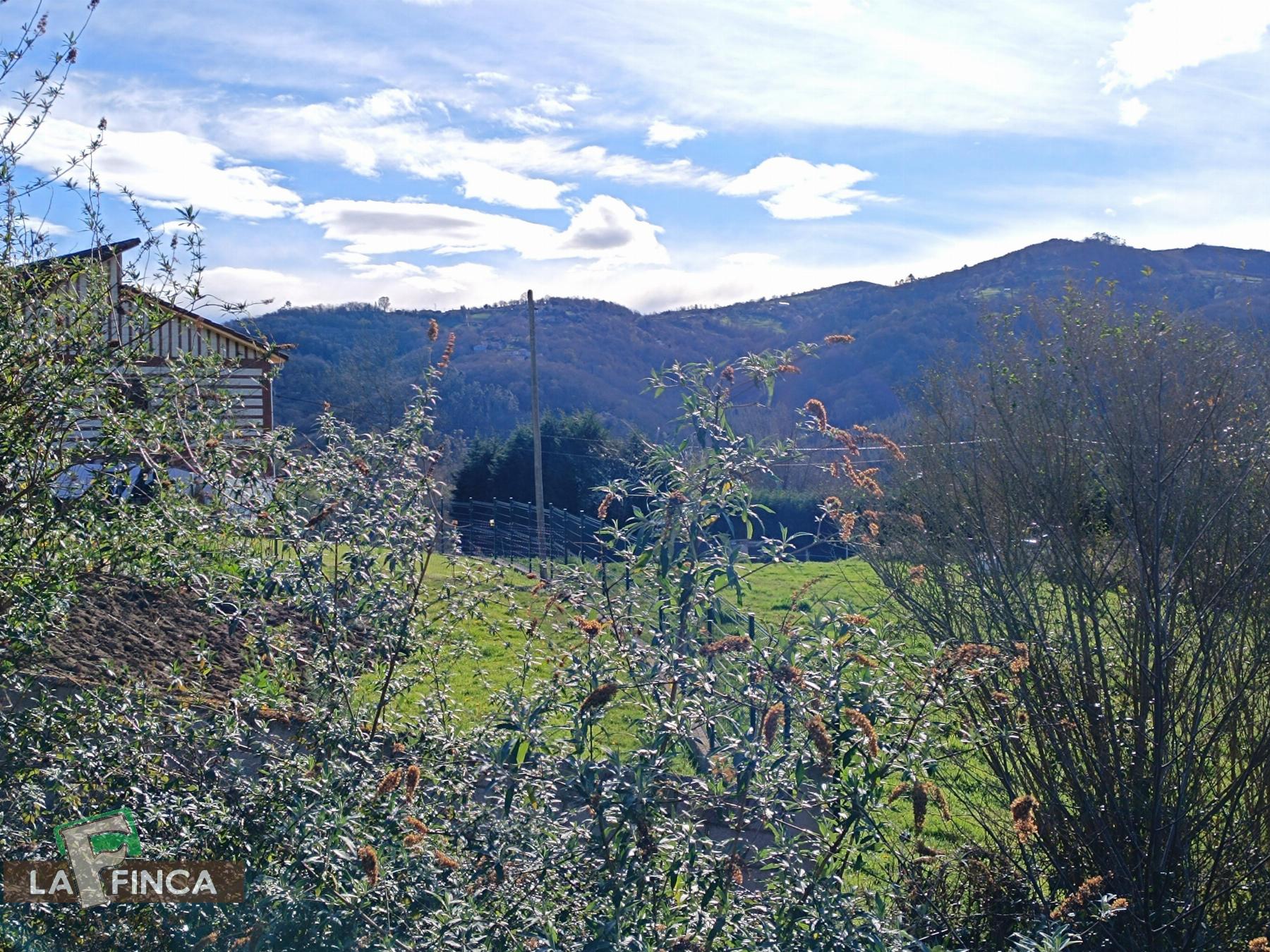 For sale of house in Siero